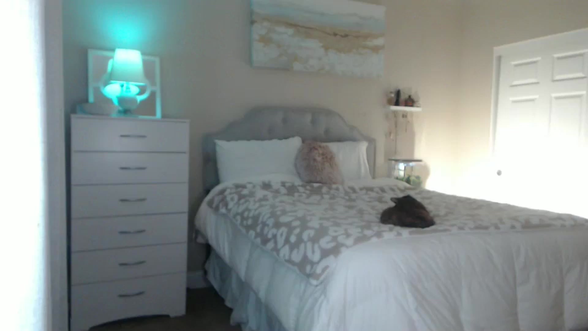 Gallery image thumbnail from Queen_bambii's myfreecams stream on, 11/03/2024, 05:31 image 4 of 20