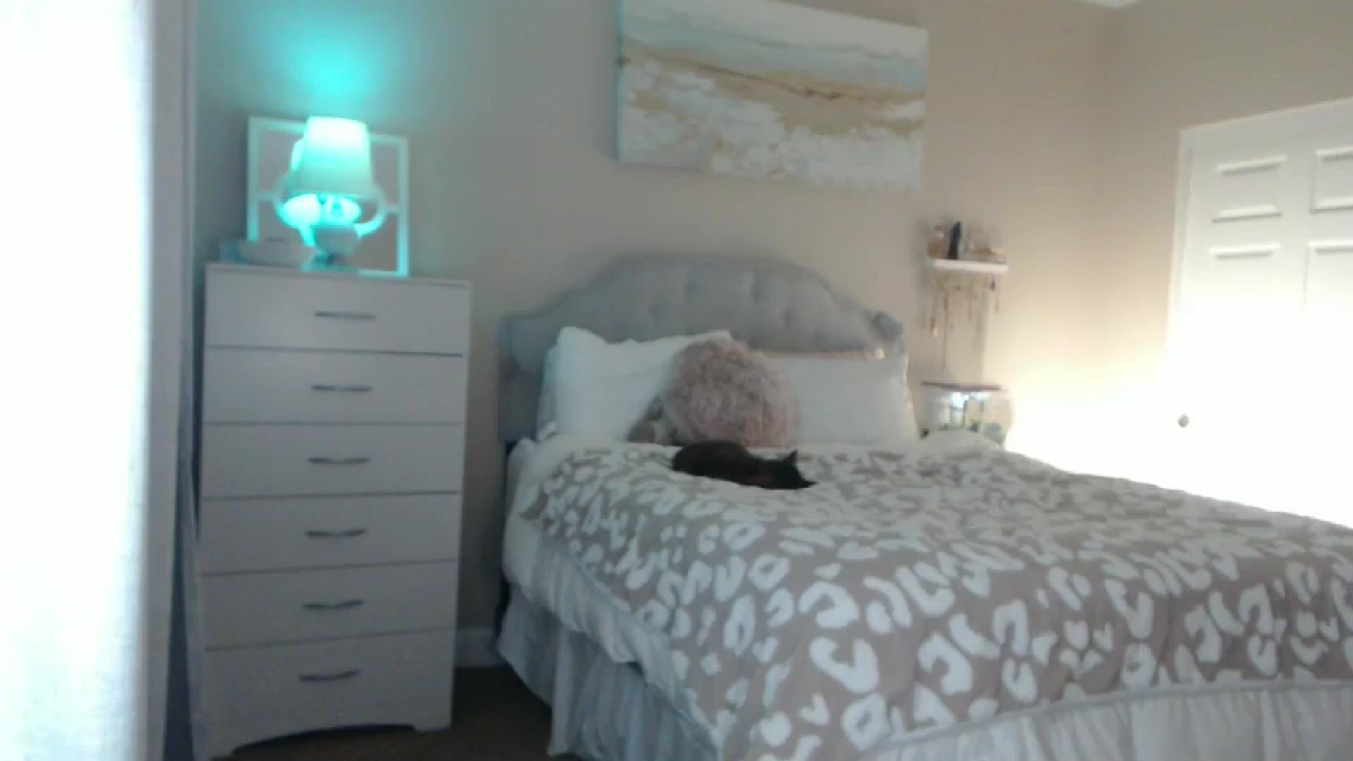 Gallery image thumbnail from Queen_bambii's myfreecams stream on, 11/12/2024, 07:40 image 19 of 20