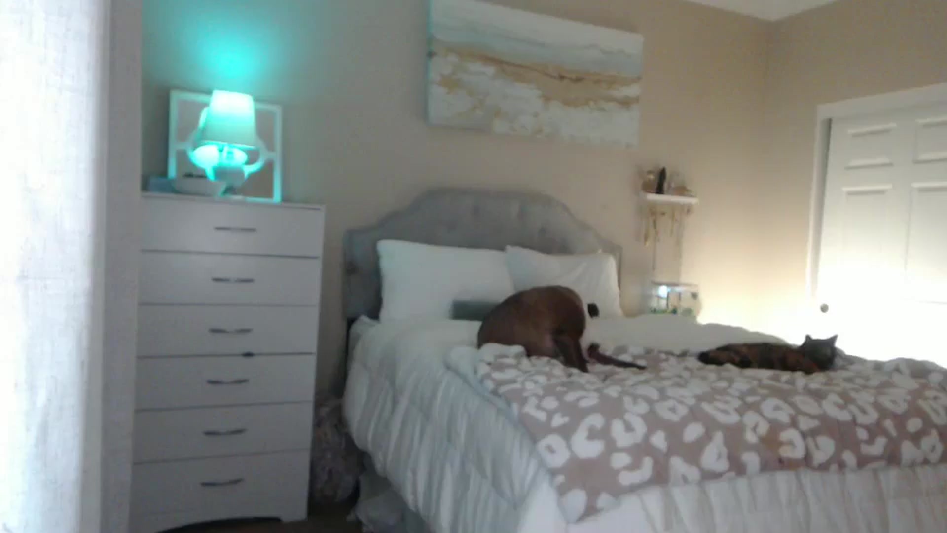 Gallery image thumbnail from Queen_bambii's myfreecams stream on, 11/16/2024, 09:13 image 14 of 20