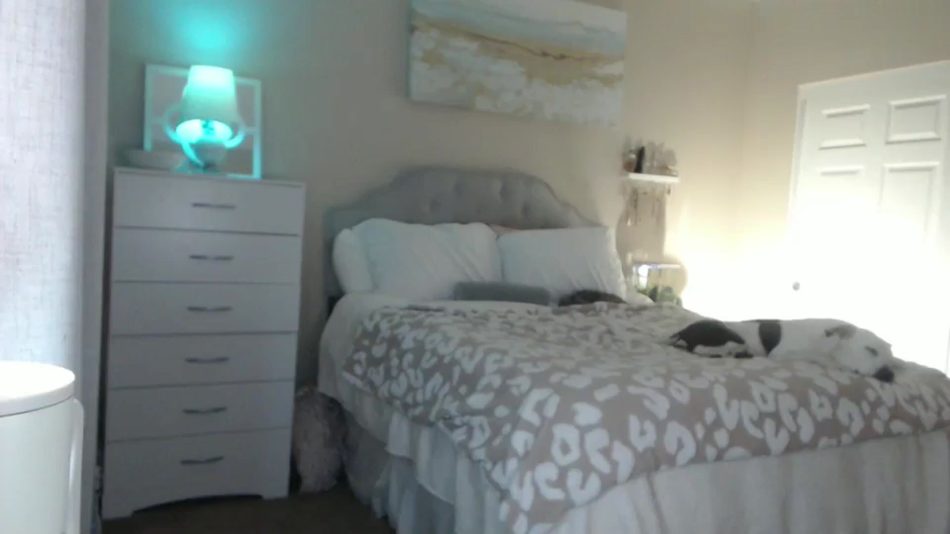 Gallery image thumbnail from Queen_bambii's myfreecams stream on, 11/22/2024, 07:16 image 10 of 20