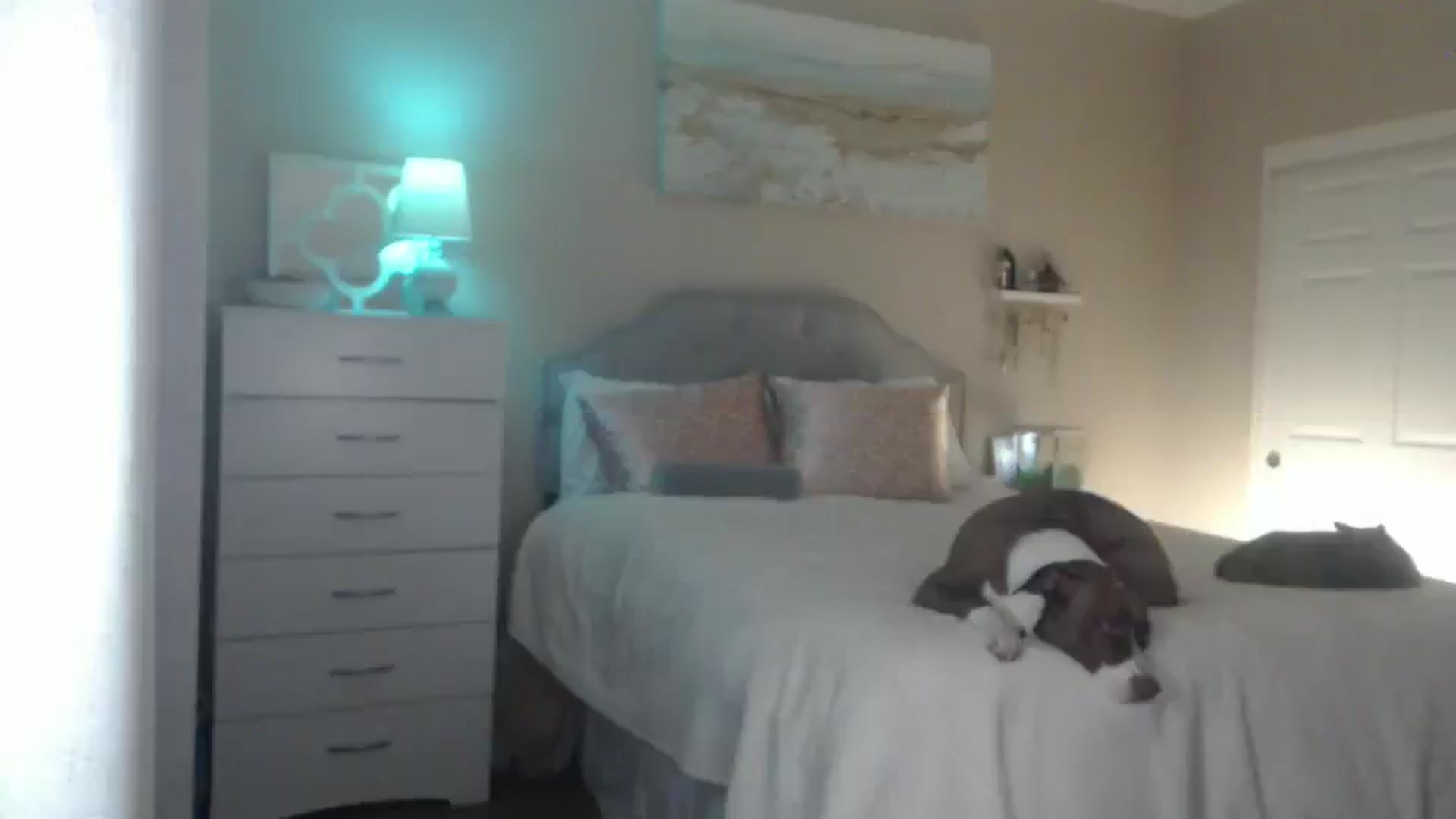 Gallery image thumbnail from Queen_bambii's myfreecams stream on, 12/02/2024, 07:41 image 5 of 20