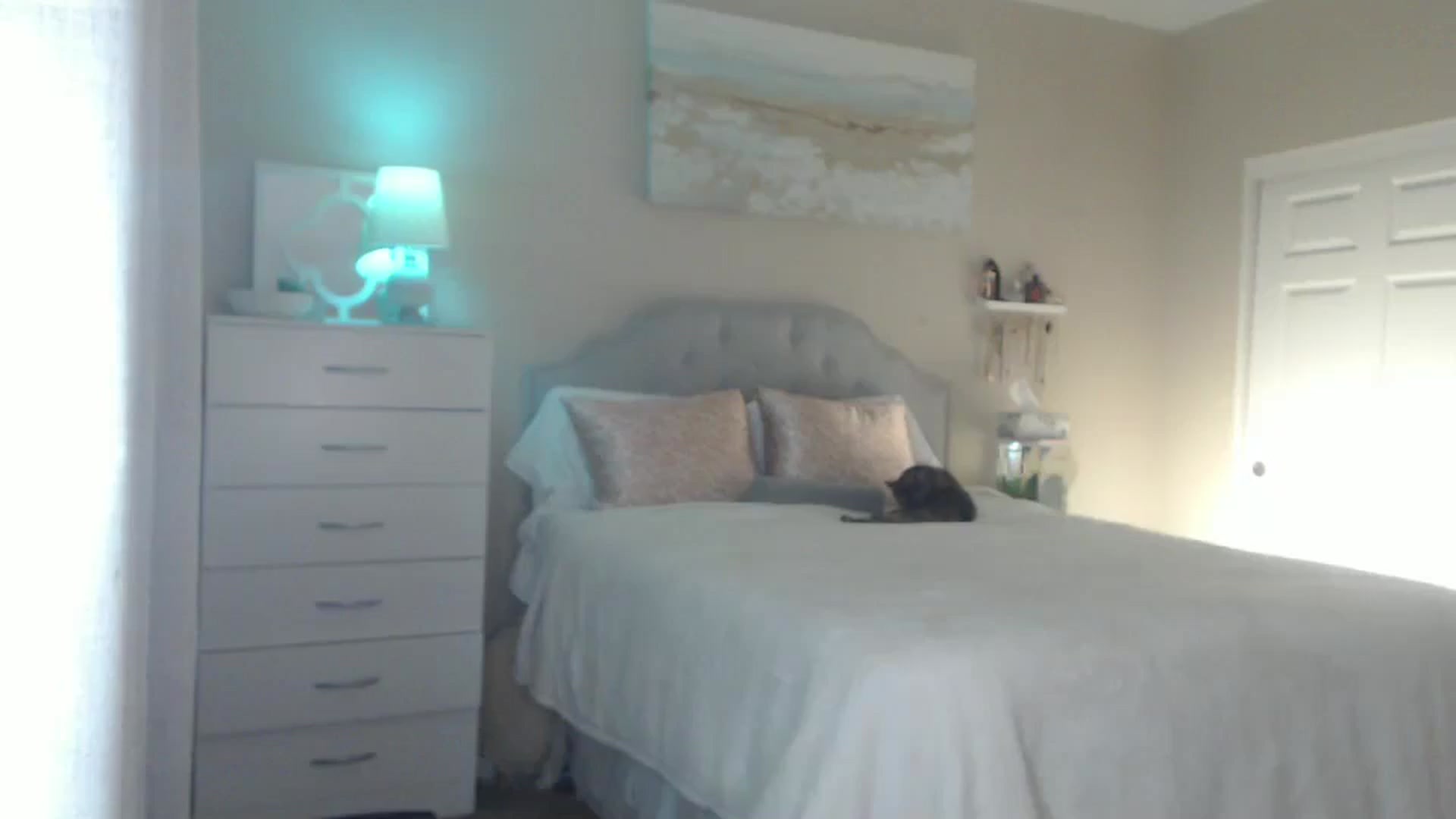 Gallery image thumbnail from Queen_bambii's myfreecams stream on, 12/07/2024, 08:19 image 11 of 20
