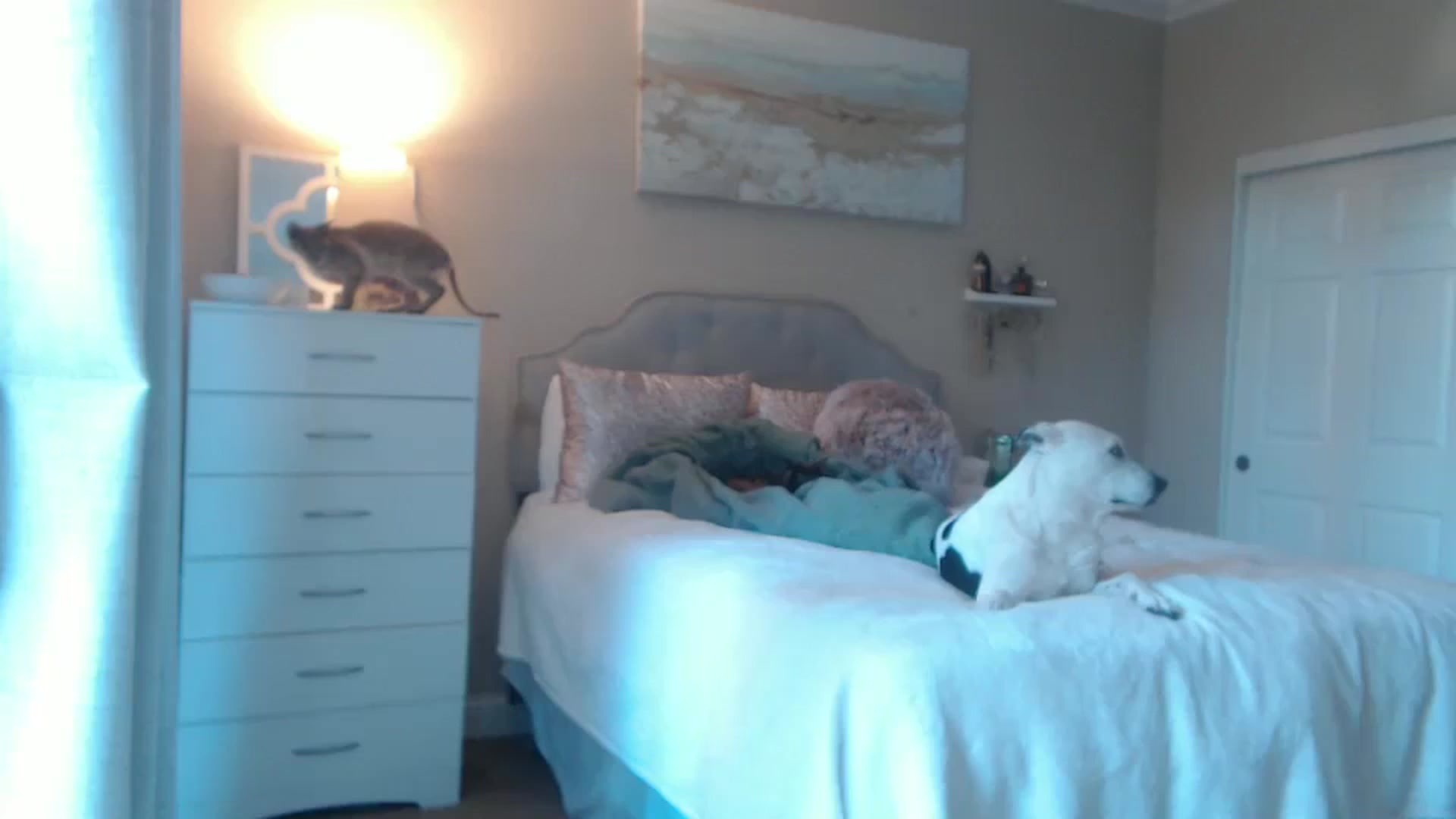 Gallery image thumbnail from Queen_bambii's myfreecams stream on, 12/13/2024, 23:12 image 10 of 20