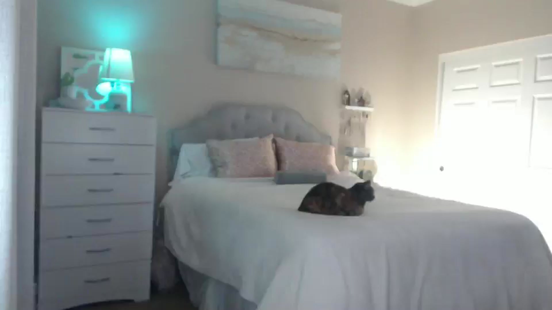 Gallery image thumbnail from Queen_bambii's myfreecams stream on, 12/20/2024, 05:17 image 12 of 20