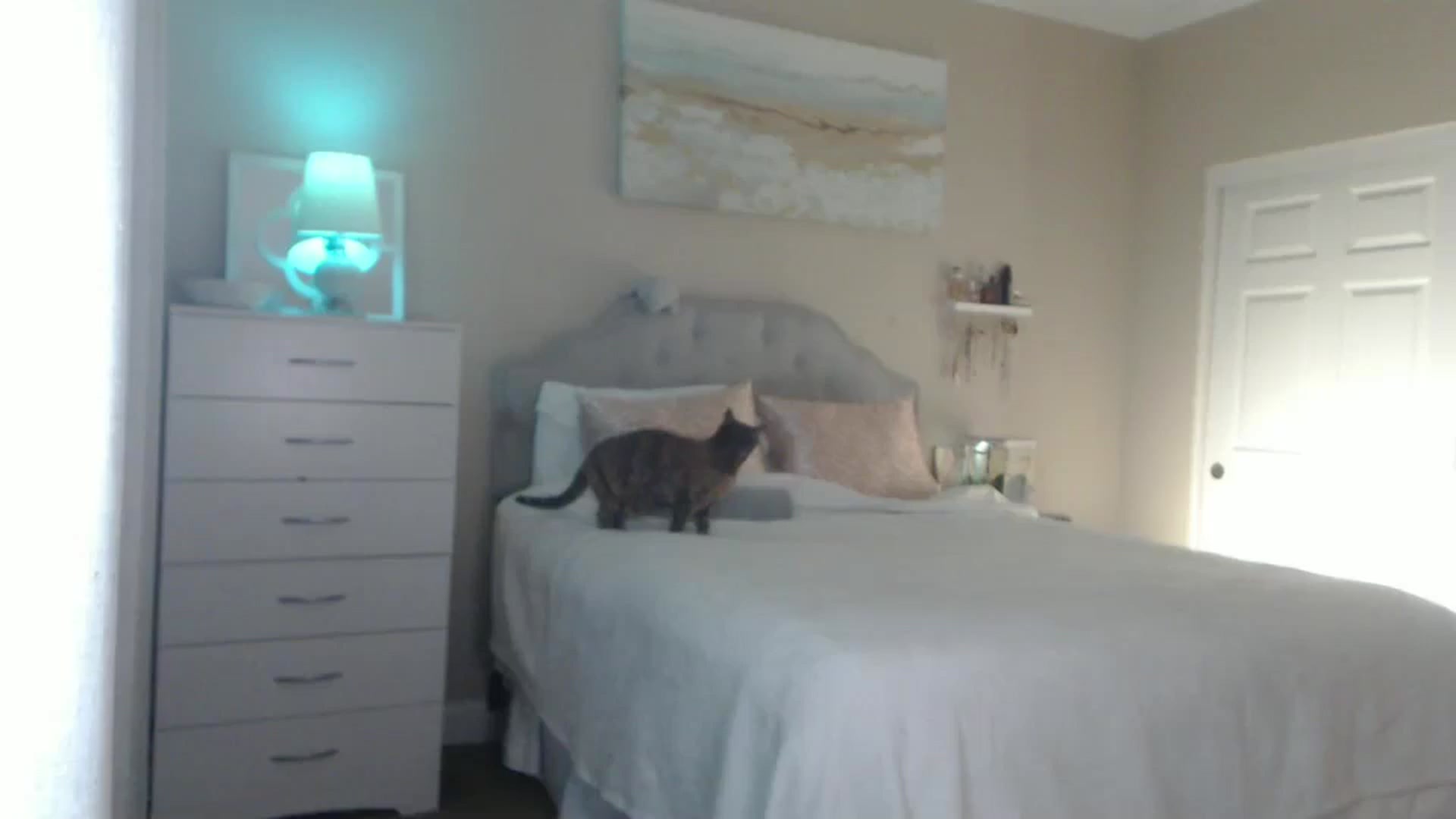 Gallery image thumbnail from Queen_bambii's myfreecams stream on, 01/08/2025, 06:41 image 15 of 20