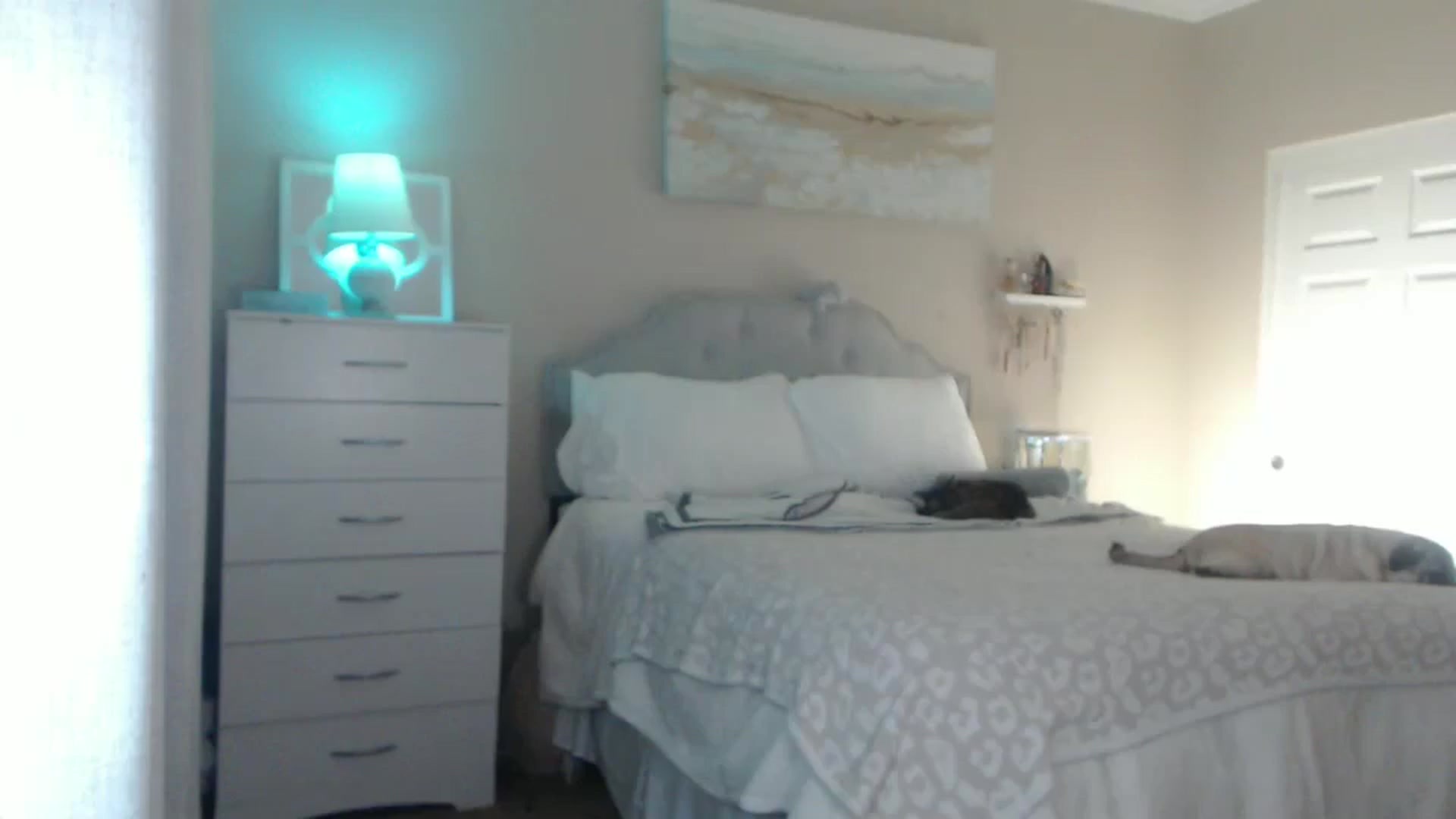 Gallery image thumbnail from Queen_bambii's myfreecams stream on, 02/03/2025, 06:17 image 6 of 20