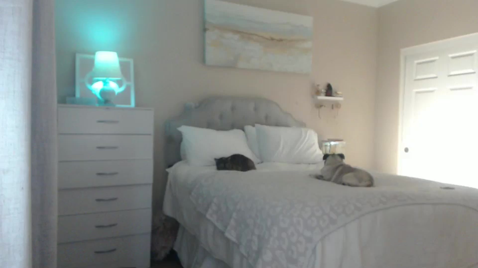 Gallery image thumbnail from Queen_bambii's myfreecams stream on, 02/23/2025, 04:43 image 2 of 20