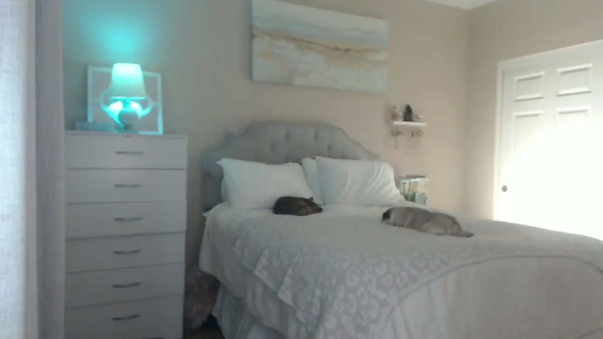 Gallery image thumbnail from Queen_bambii's myfreecams stream on, 02/23/2025, 06:16 image 2 of 20