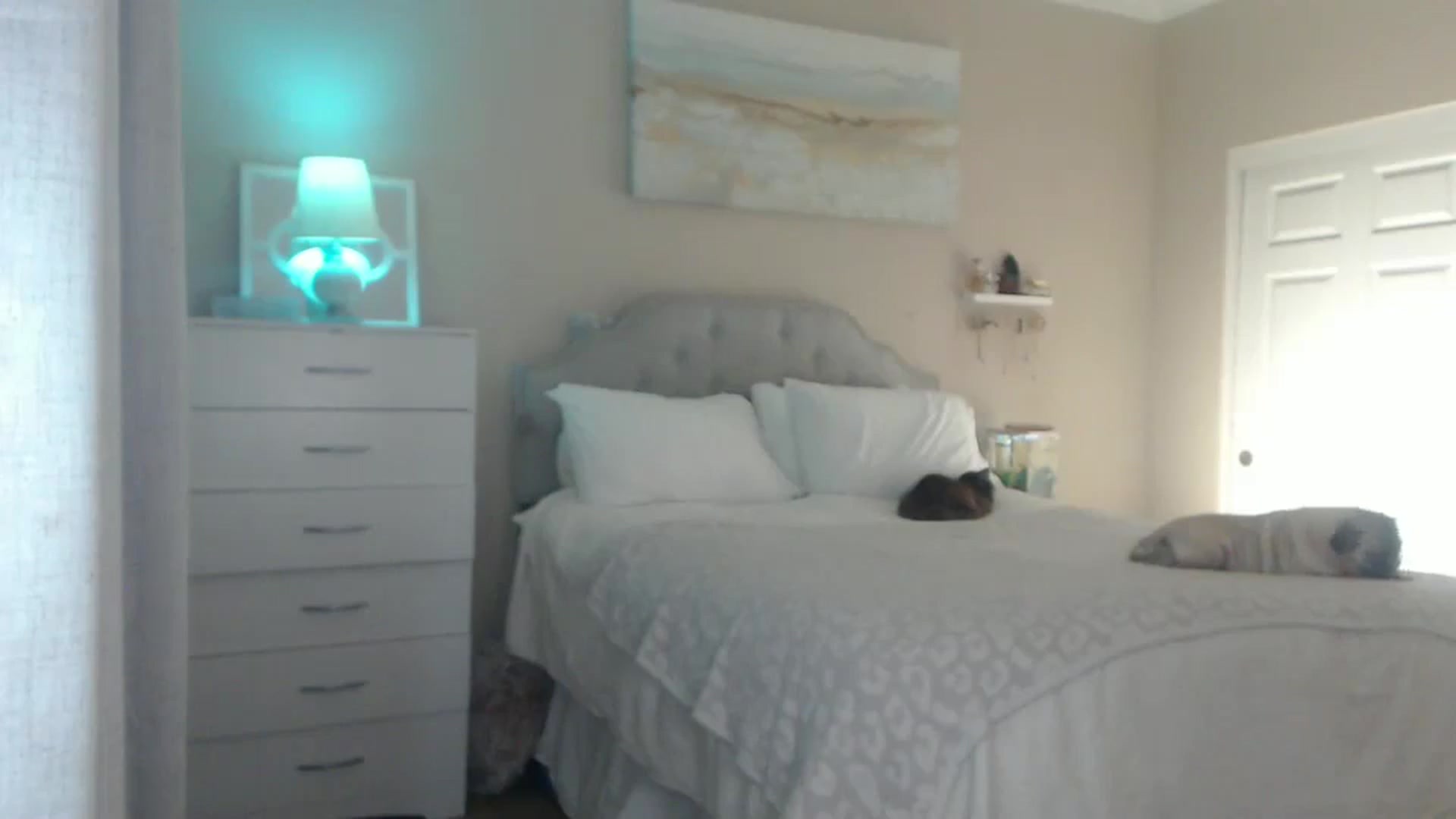 Gallery image thumbnail from Queen_bambii's myfreecams stream on, 02/23/2025, 06:16 image 20 of 20