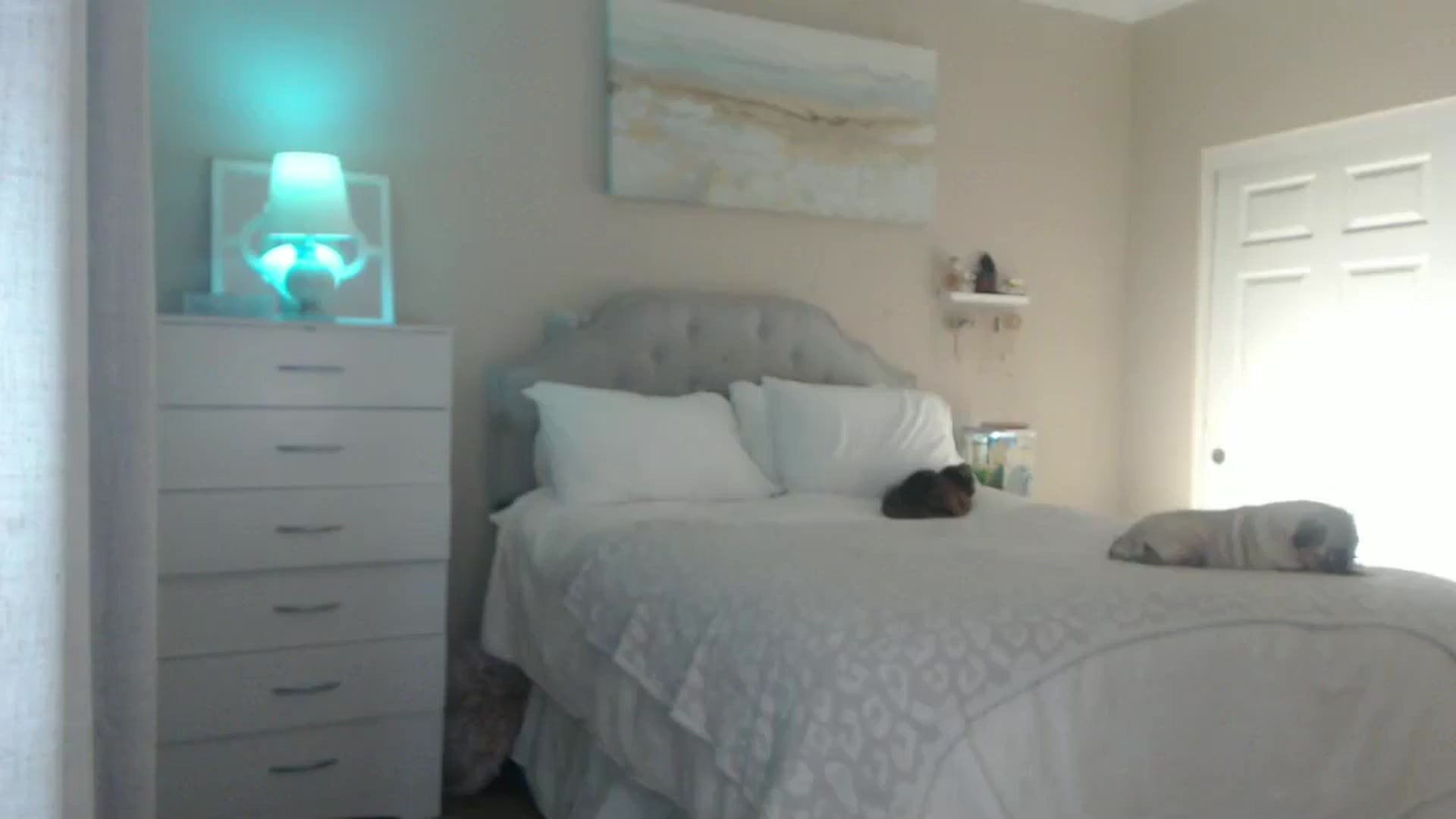 Gallery image thumbnail from Queen_bambii's myfreecams stream on, 02/23/2025, 06:16 image 16 of 20