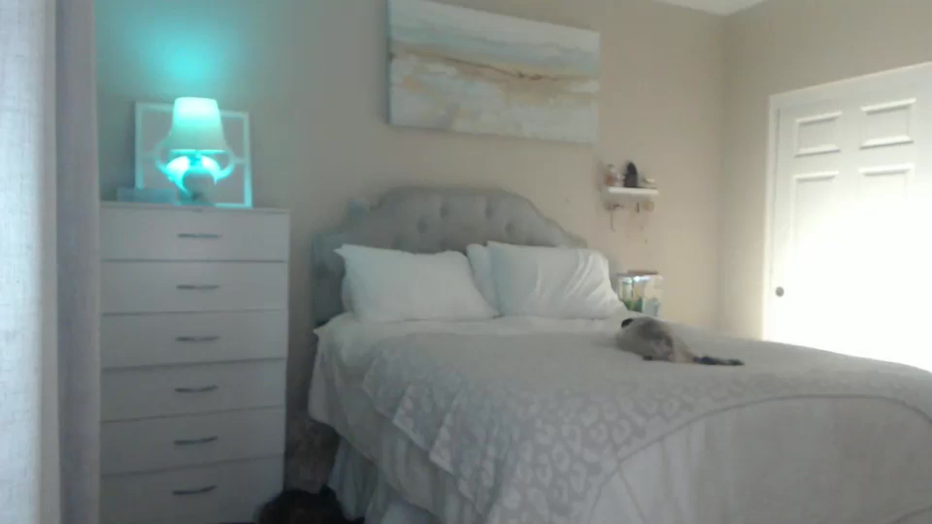 Gallery image thumbnail from Queen_bambii's myfreecams stream on, 02/23/2025, 06:16 image 11 of 20