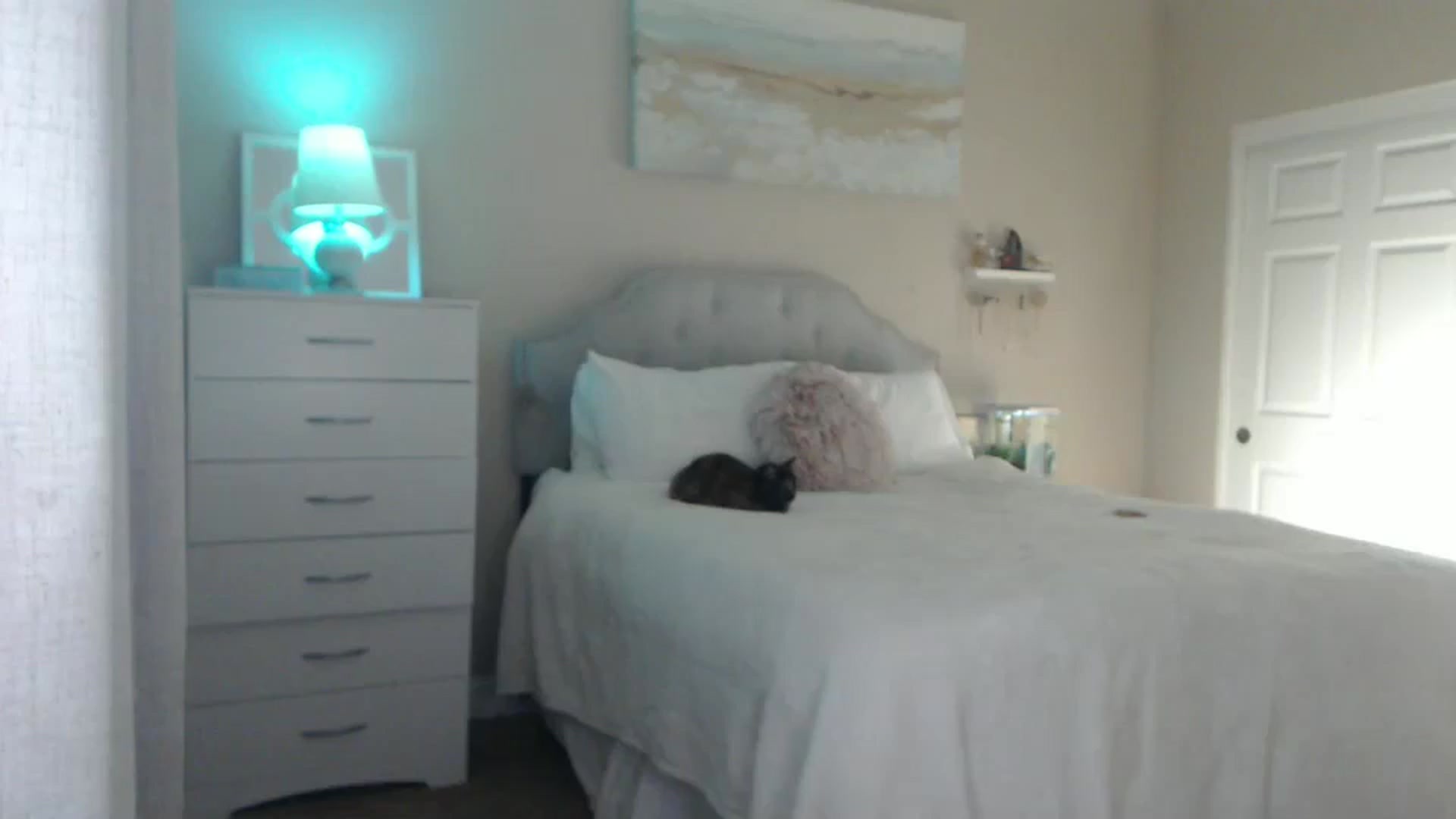 Gallery image thumbnail from Queen_bambii's myfreecams stream on, 02/26/2025, 07:05 image 8 of 20