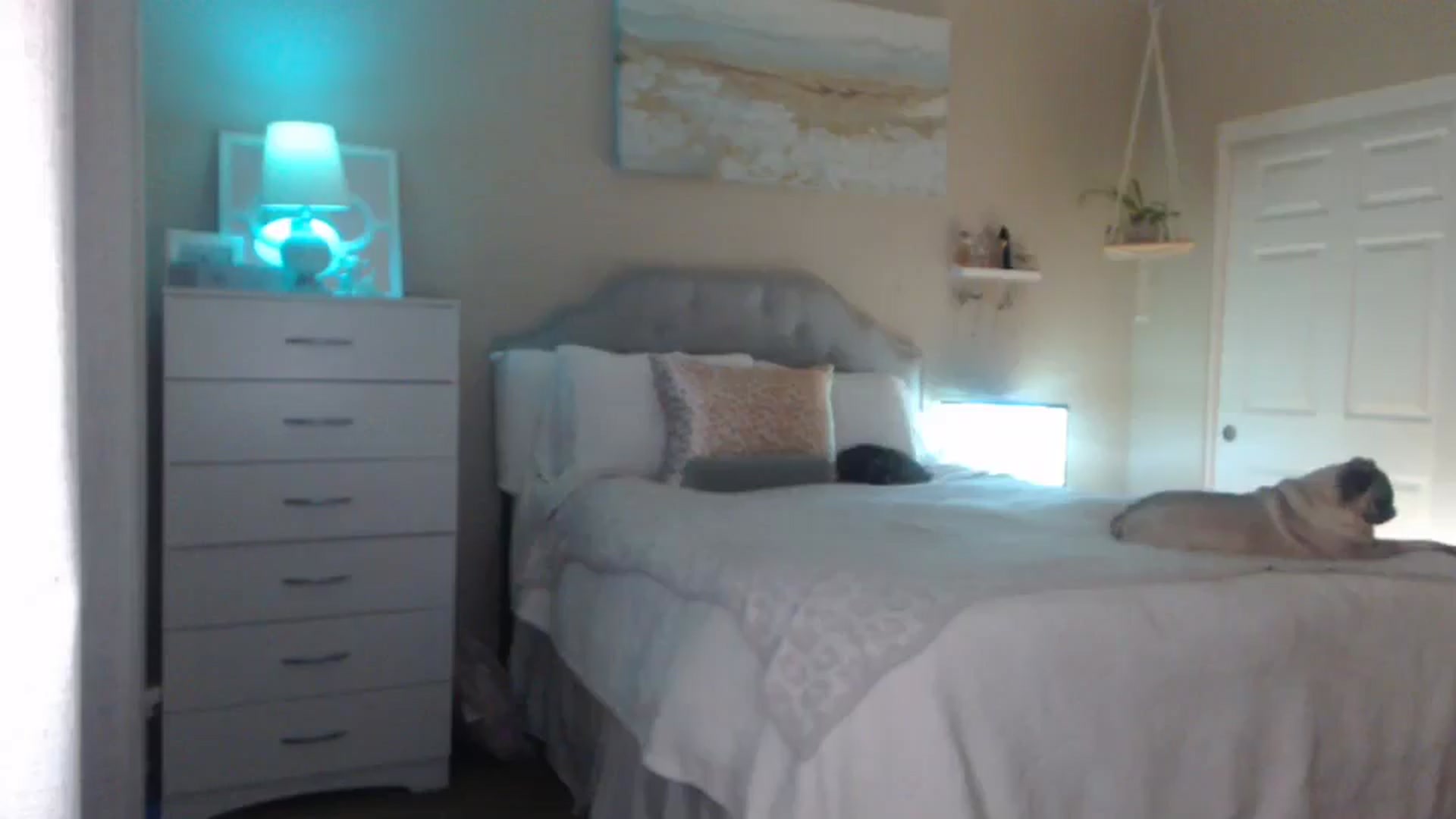 Gallery image thumbnail from Queen_bambii's myfreecams stream on, 04/10/2025, 04:58 image 13 of 20