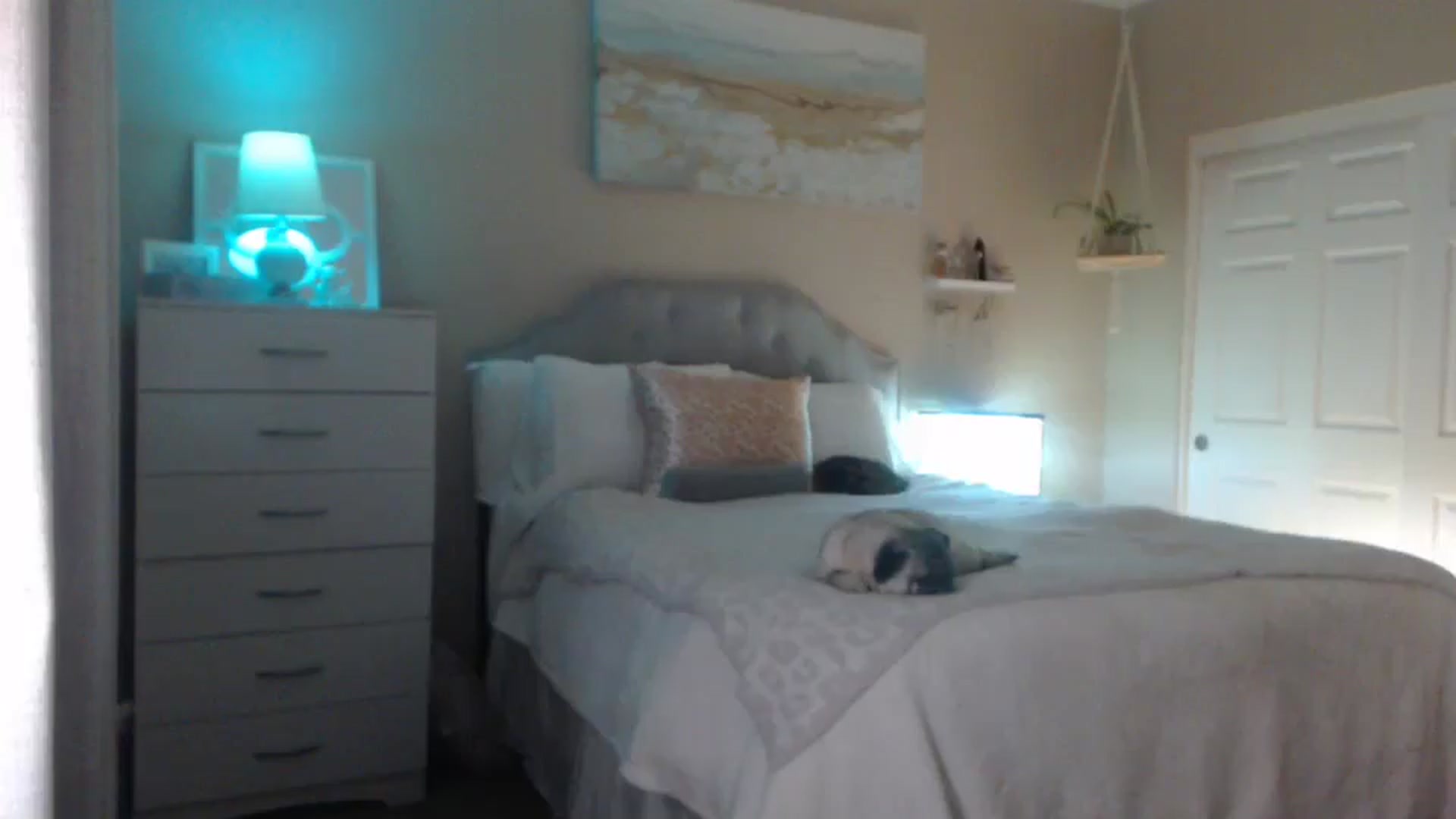 Gallery image thumbnail from Queen_bambii's myfreecams stream on, 04/10/2025, 06:11 image 4 of 20