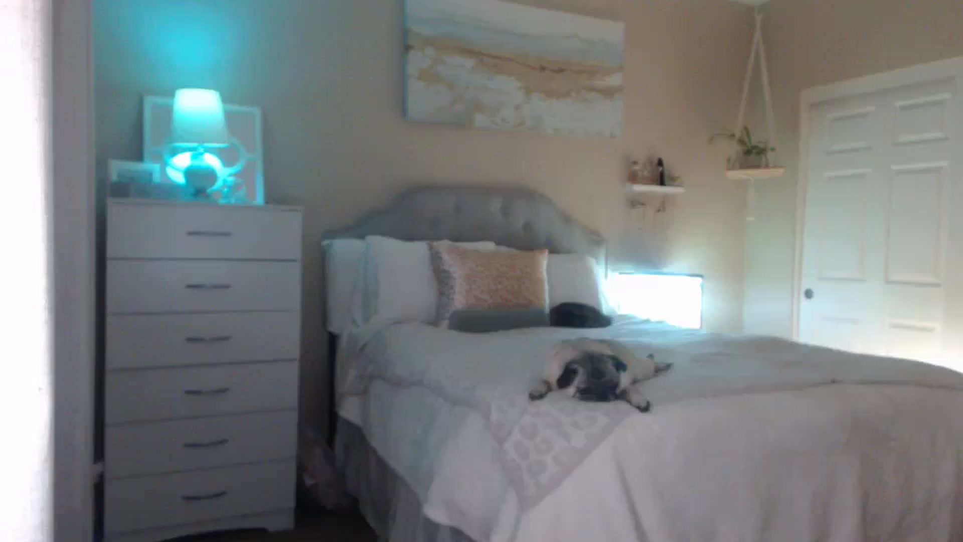 Gallery image thumbnail from Queen_bambii's myfreecams stream on, 04/10/2025, 06:11 image 11 of 20