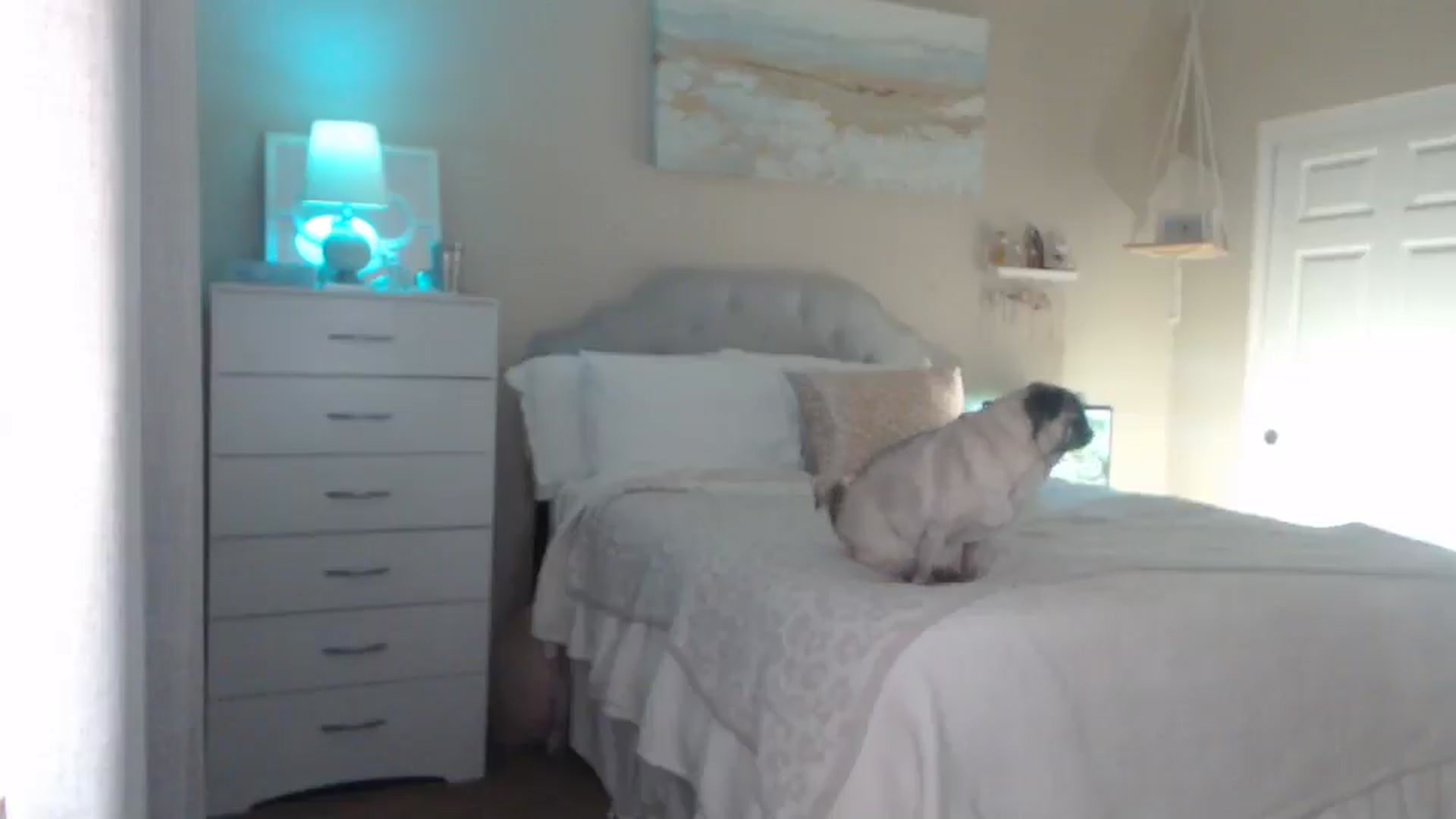 Gallery image thumbnail from Queen_bambii's myfreecams stream on, 05/02/2025, 07:19 image 19 of 20