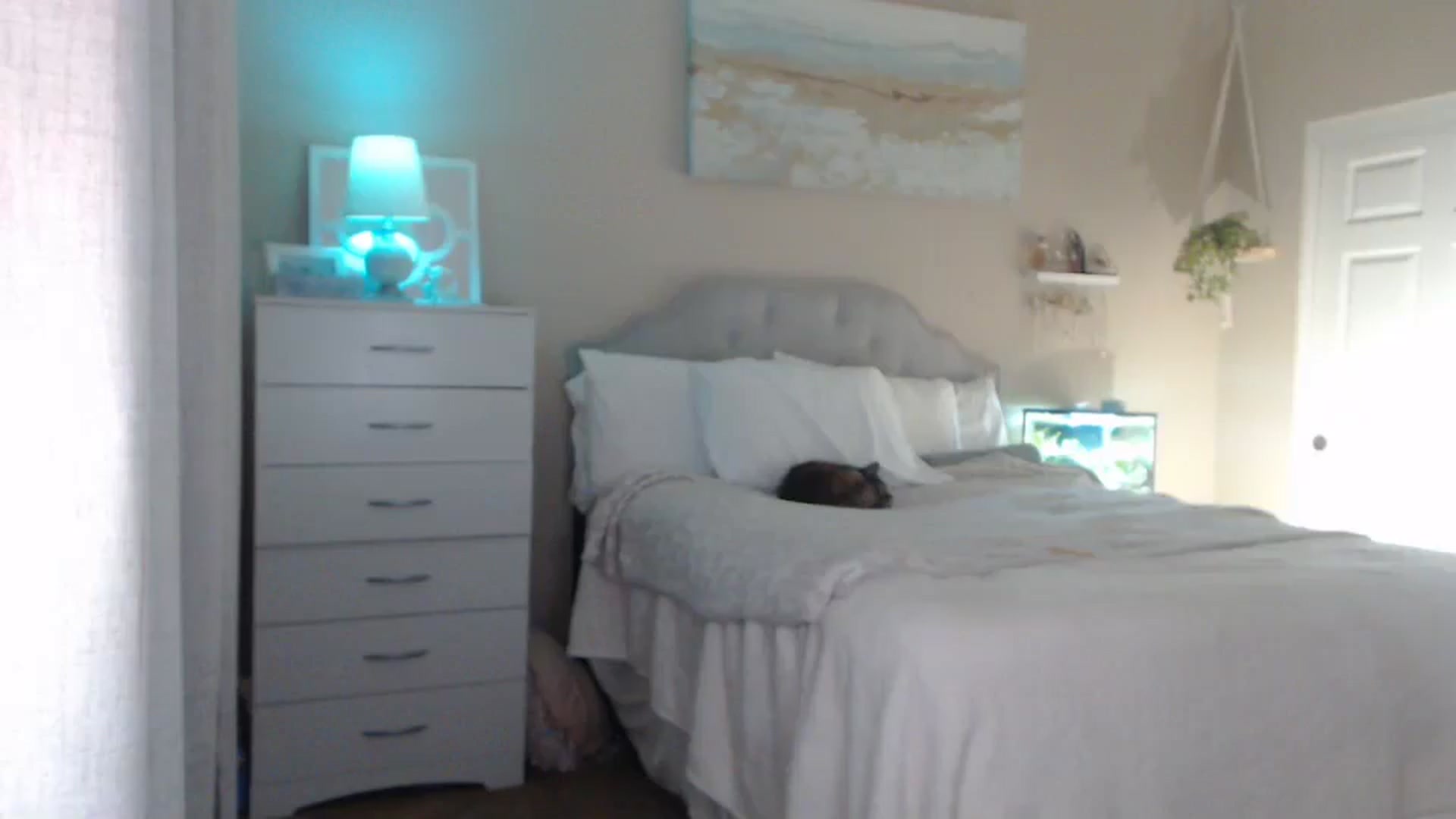 Gallery image thumbnail from Queen_bambii's myfreecams stream on, 05/08/2025, 06:45 image 14 of 20