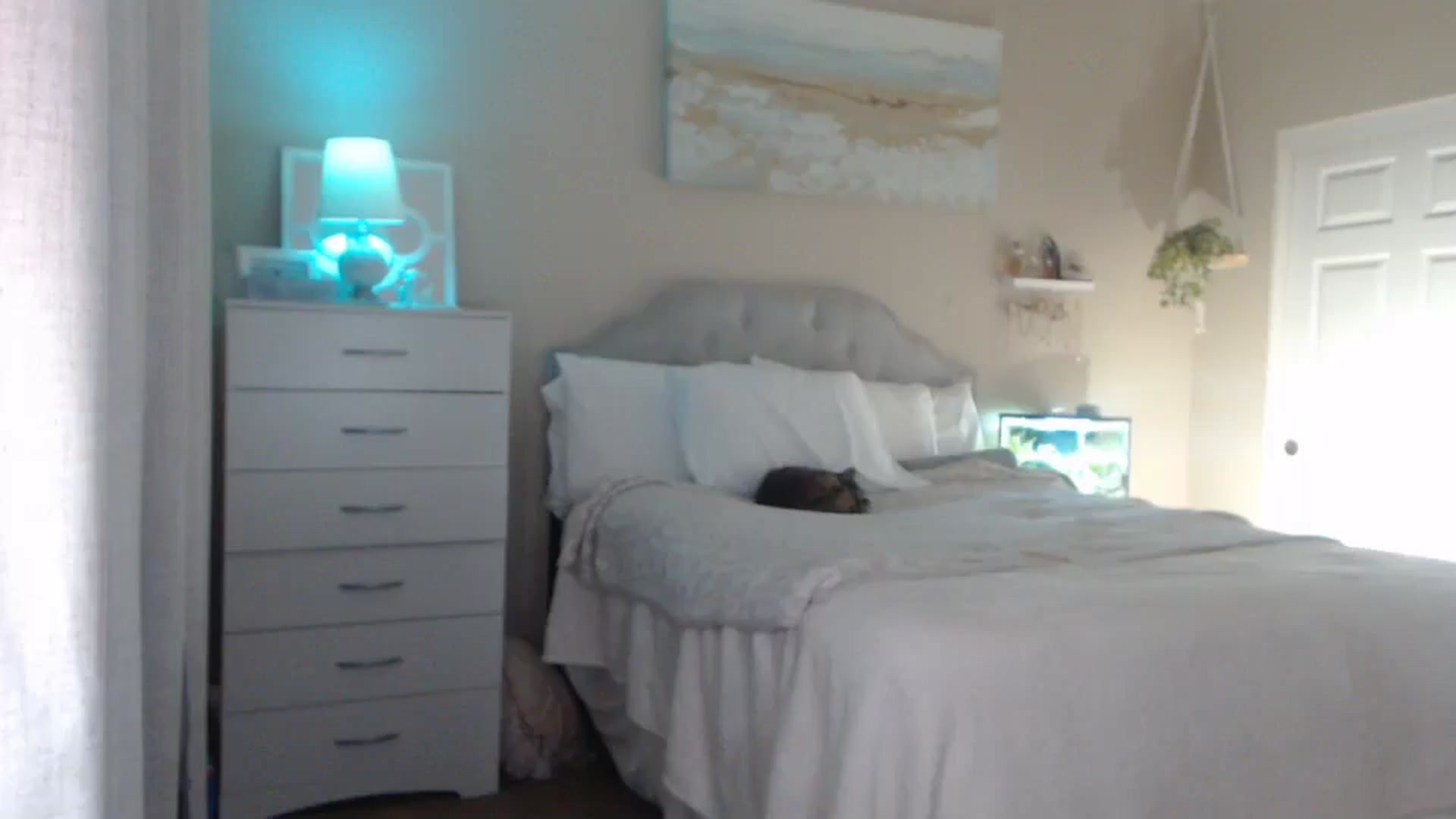 Gallery image thumbnail from Queen_bambii's myfreecams stream on, 05/08/2025, 06:45 image 18 of 20