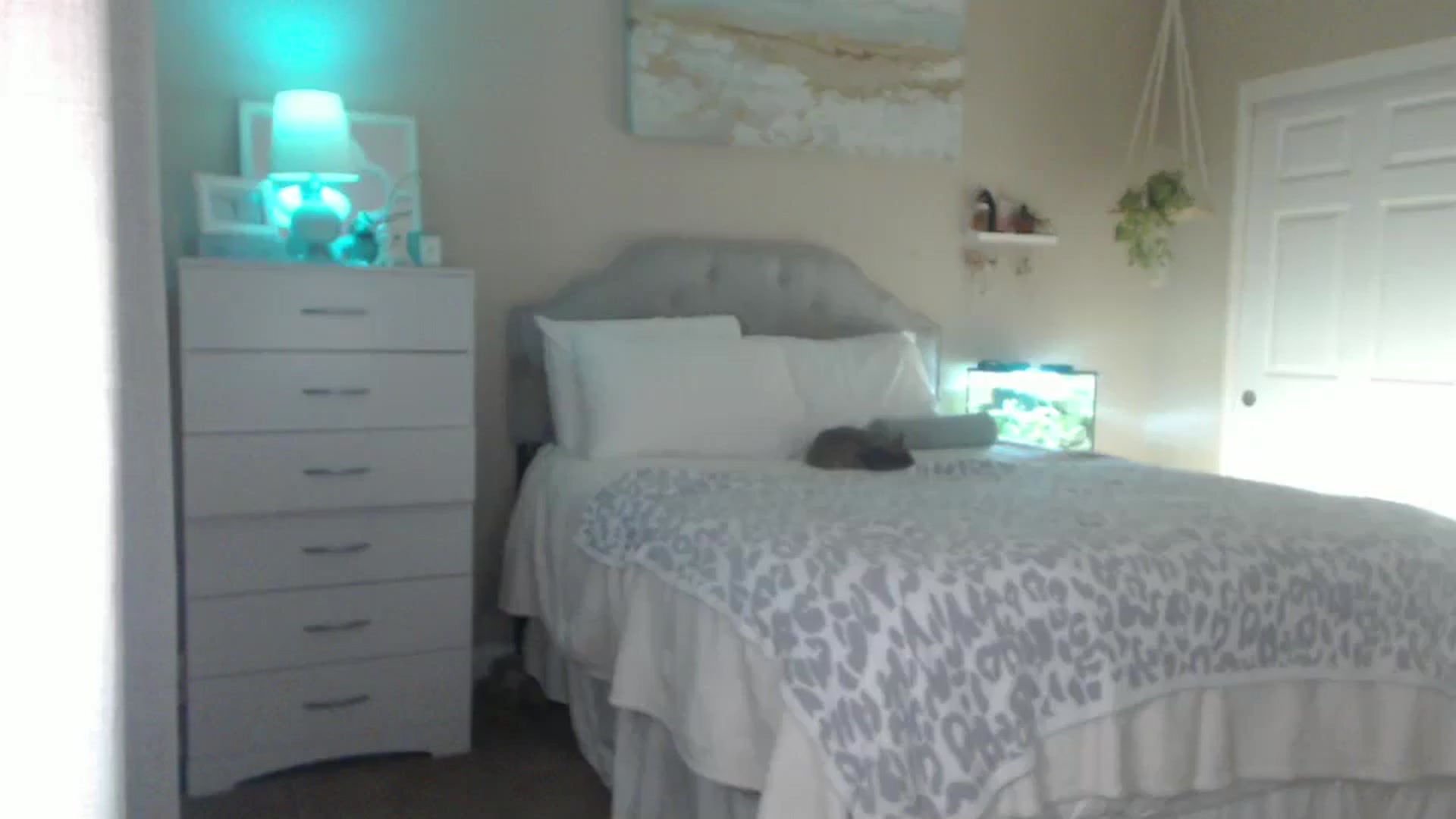 Gallery image thumbnail from Queen_bambii's myfreecams stream on, 06/03/2025, 06:33 image 6 of 20