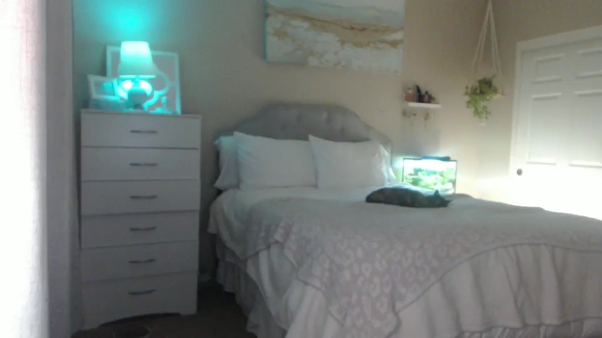 Gallery image thumbnail from Queen_bambii's myfreecams stream on, 06/18/2025, 06:40 image 9 of 20