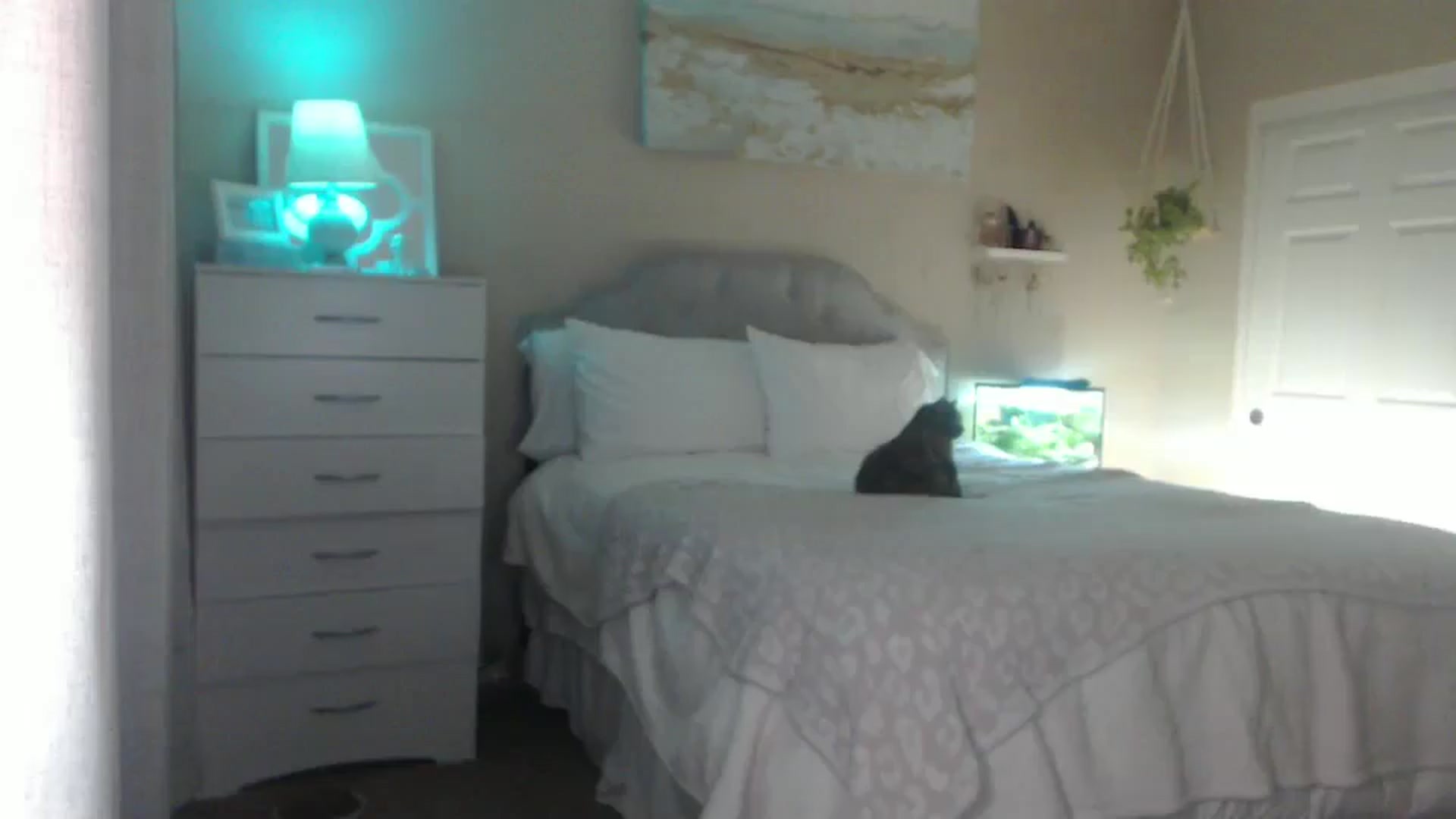 Gallery image thumbnail from Queen_bambii's myfreecams stream on, 06/18/2025, 06:40 image 10 of 20