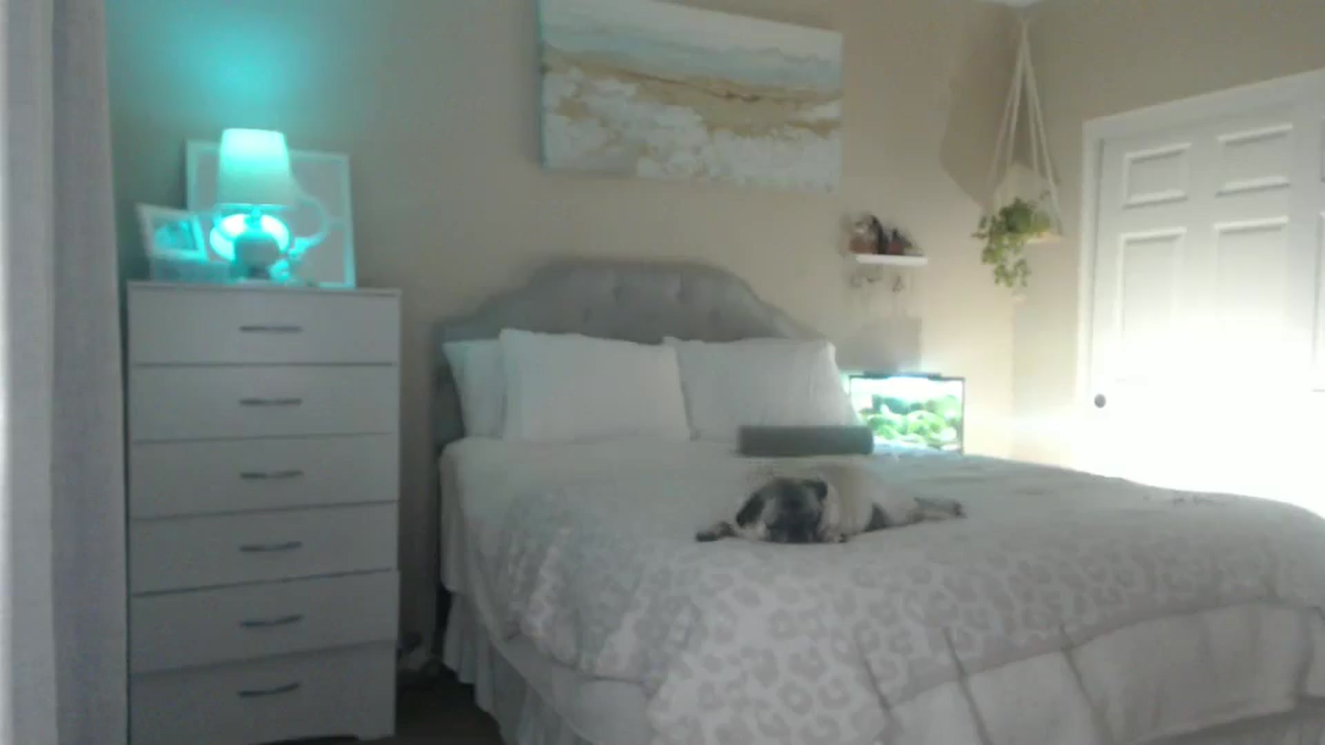 Gallery image thumbnail from Queen_bambii's myfreecams stream on, 07/01/2025, 07:06 image 14 of 20