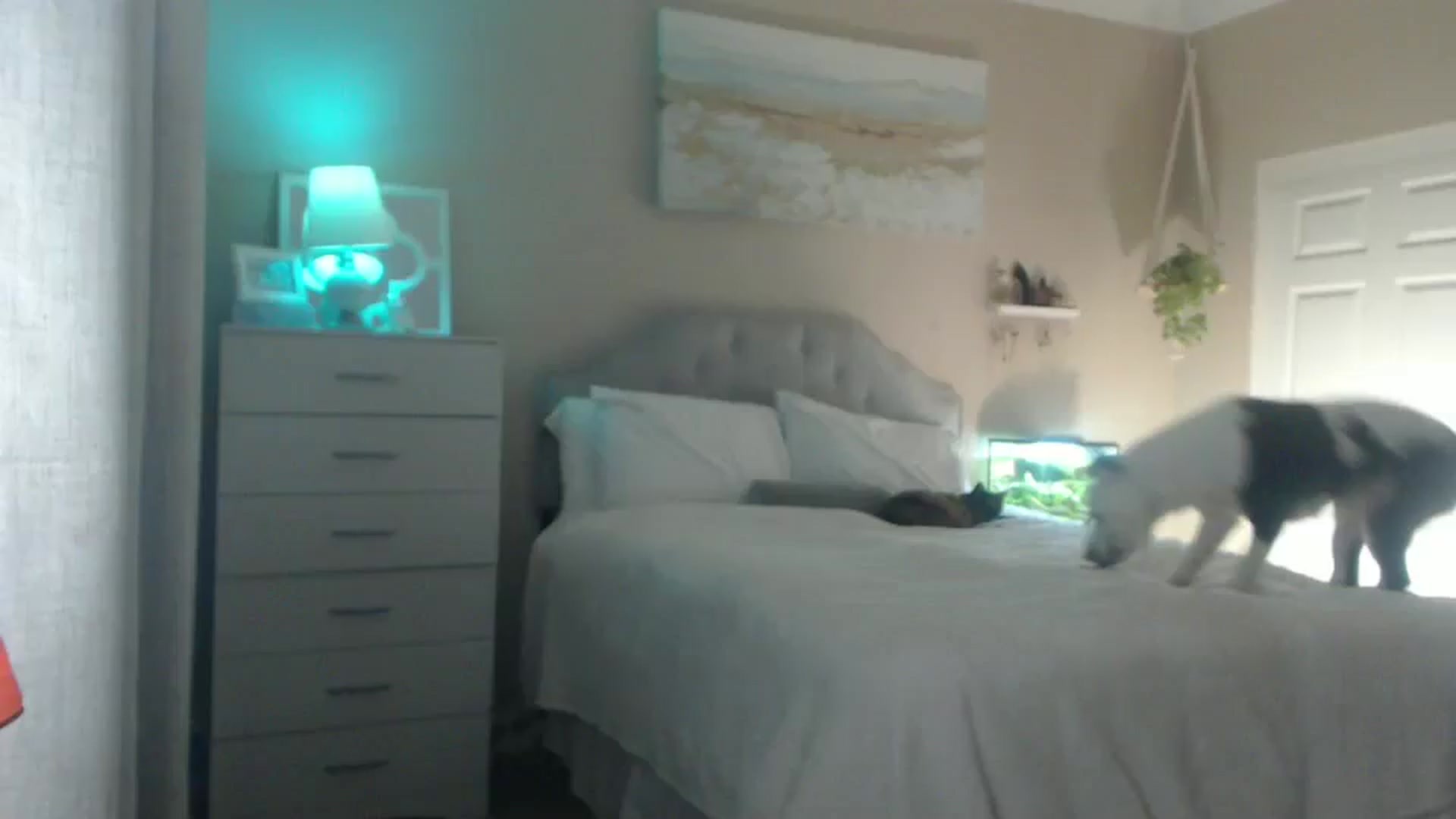 Gallery image thumbnail from Queen_bambii's myfreecams stream on, 07/10/2025, 05:25 image 20 of 20