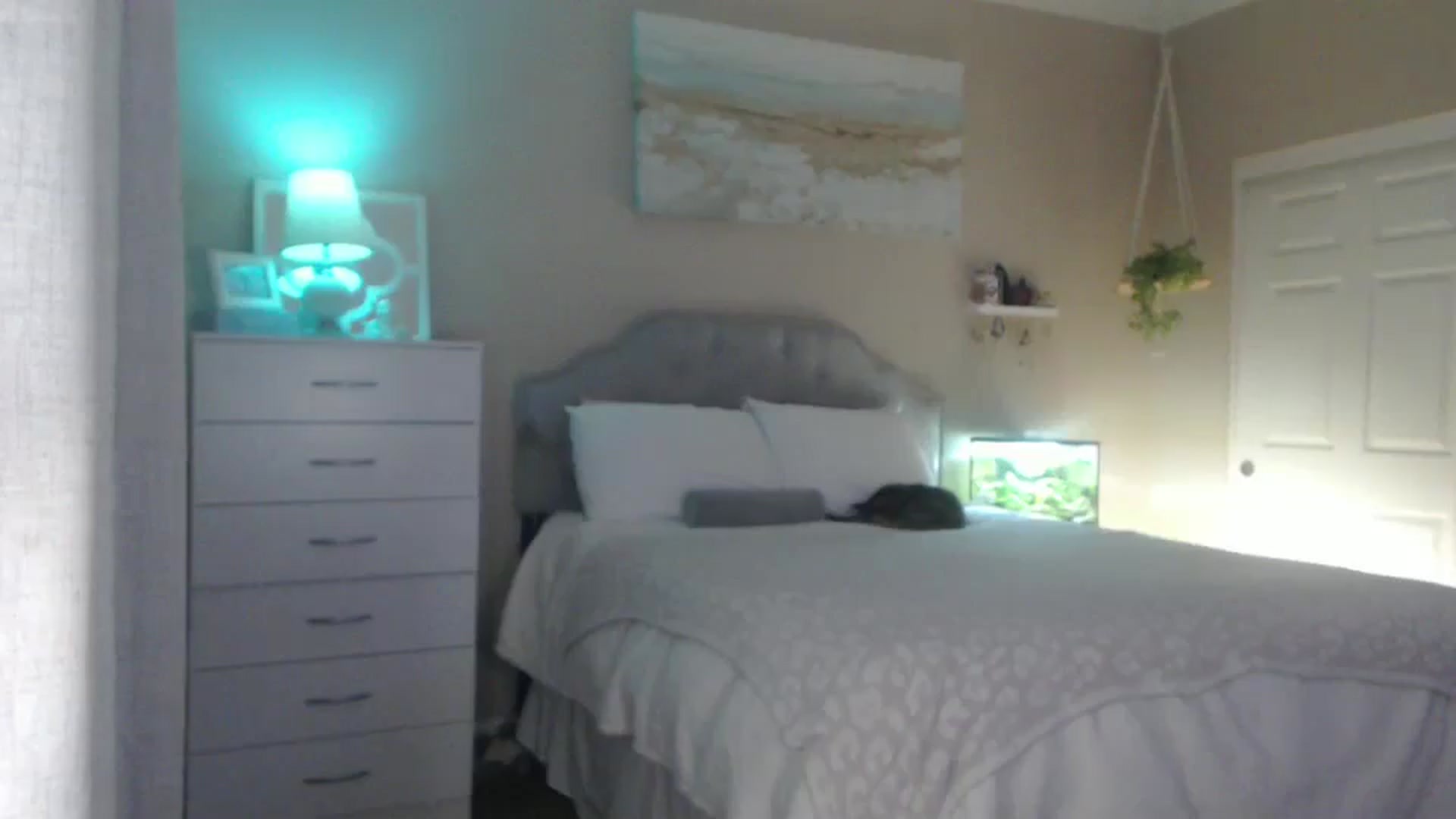 Gallery image thumbnail from Queen_bambii's myfreecams stream on, 07/19/2025, 08:03 image 12 of 20