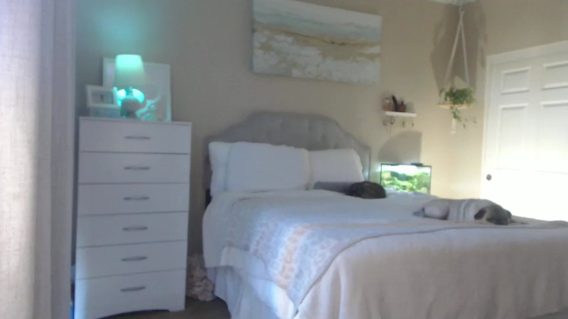 Gallery image thumbnail from Queen_bambii's myfreecams stream on, 07/30/2025, 24:26 image 16 of 20