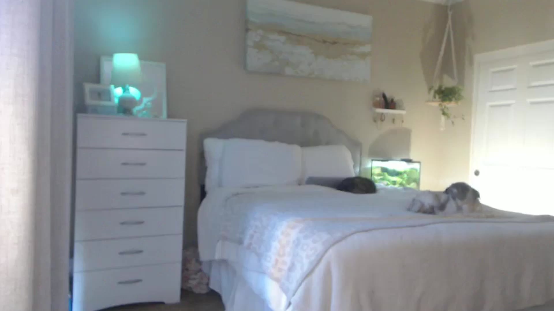 Gallery image thumbnail from Queen_bambii's myfreecams stream on, 07/30/2025, 24:26 image 13 of 20