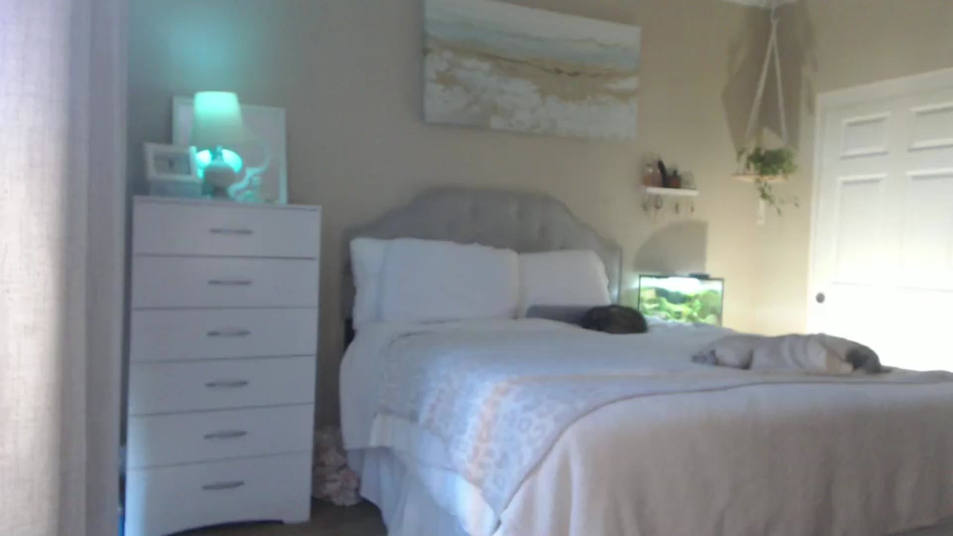 Gallery image thumbnail from Queen_bambii's myfreecams stream on, 07/30/2025, 24:26 image 18 of 20