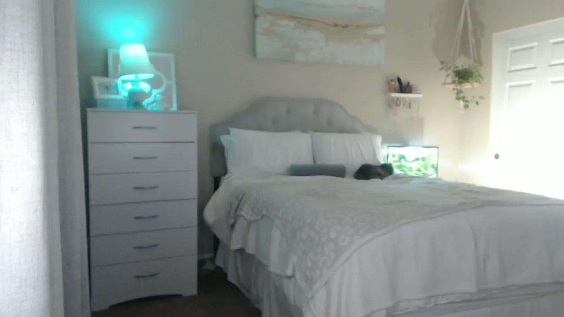 Gallery image thumbnail from Queen_bambii's myfreecams stream on, 08/05/2025, 06:50 image 4 of 20