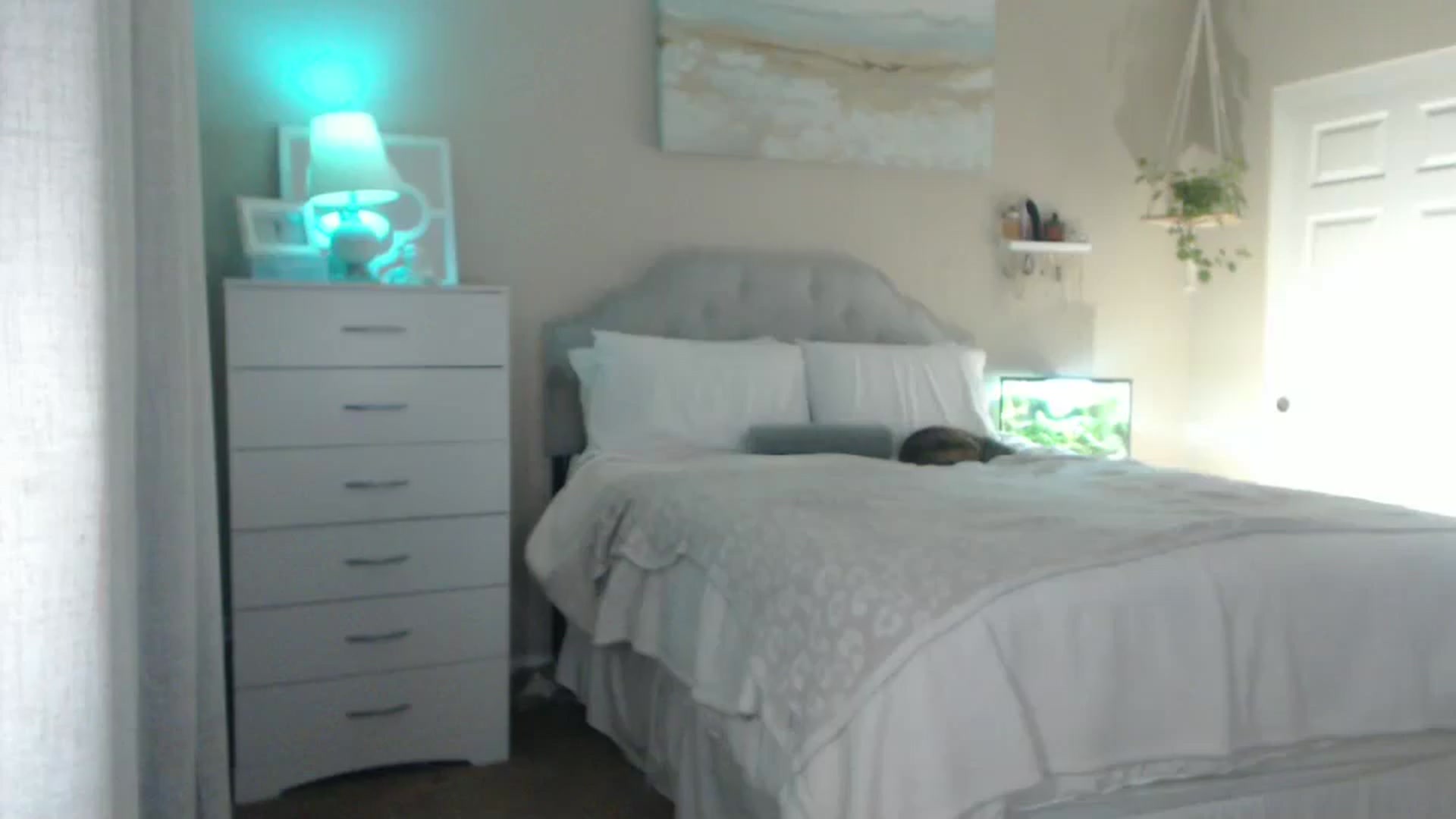 Gallery image thumbnail from Queen_bambii's myfreecams stream on, 08/05/2025, 06:50 image 8 of 20