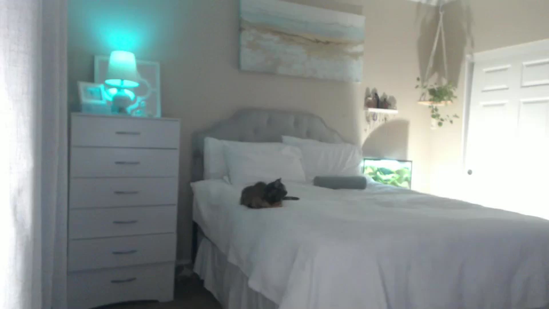 Gallery image thumbnail from Queen_bambii's myfreecams stream on, 08/10/2025, 07:35 image 12 of 20