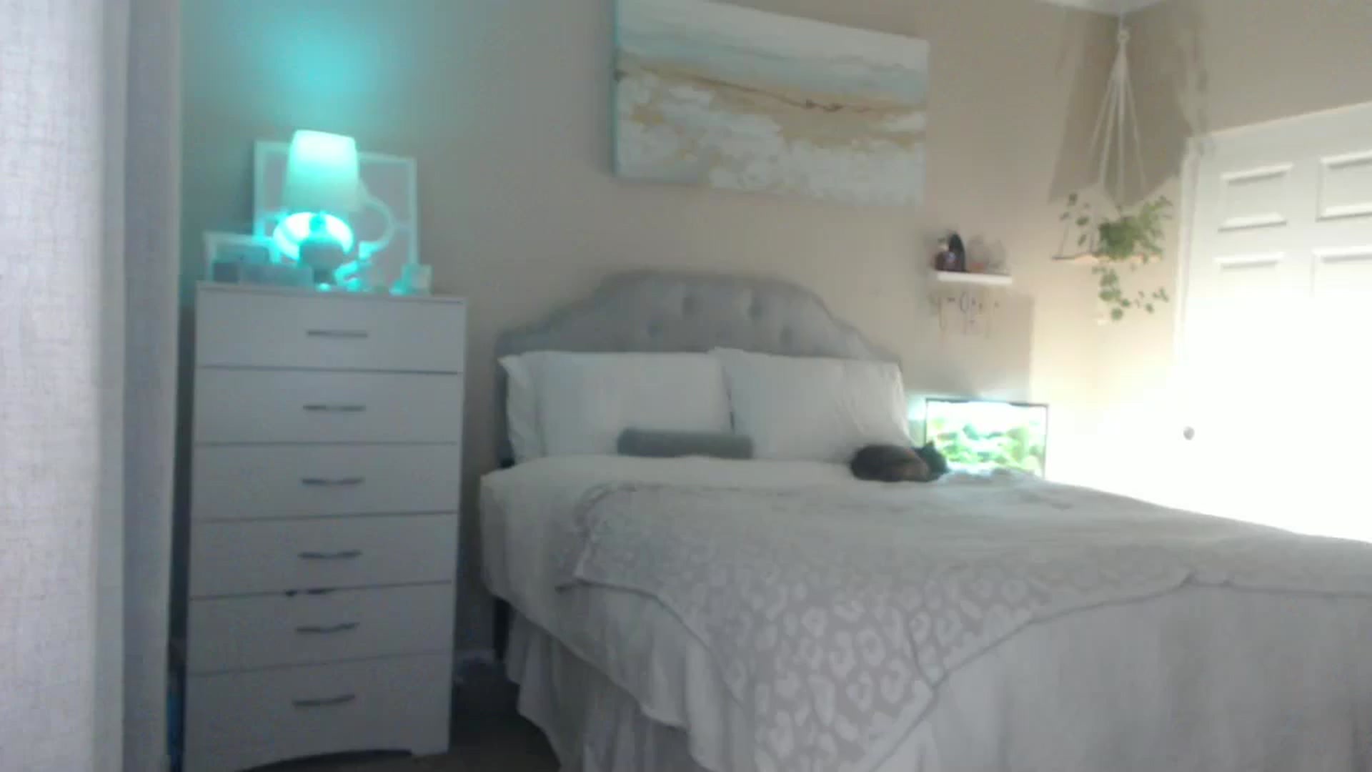 Gallery image thumbnail from Queen_bambii's myfreecams stream on, 08/20/2025, 07:13 image 1 of 20