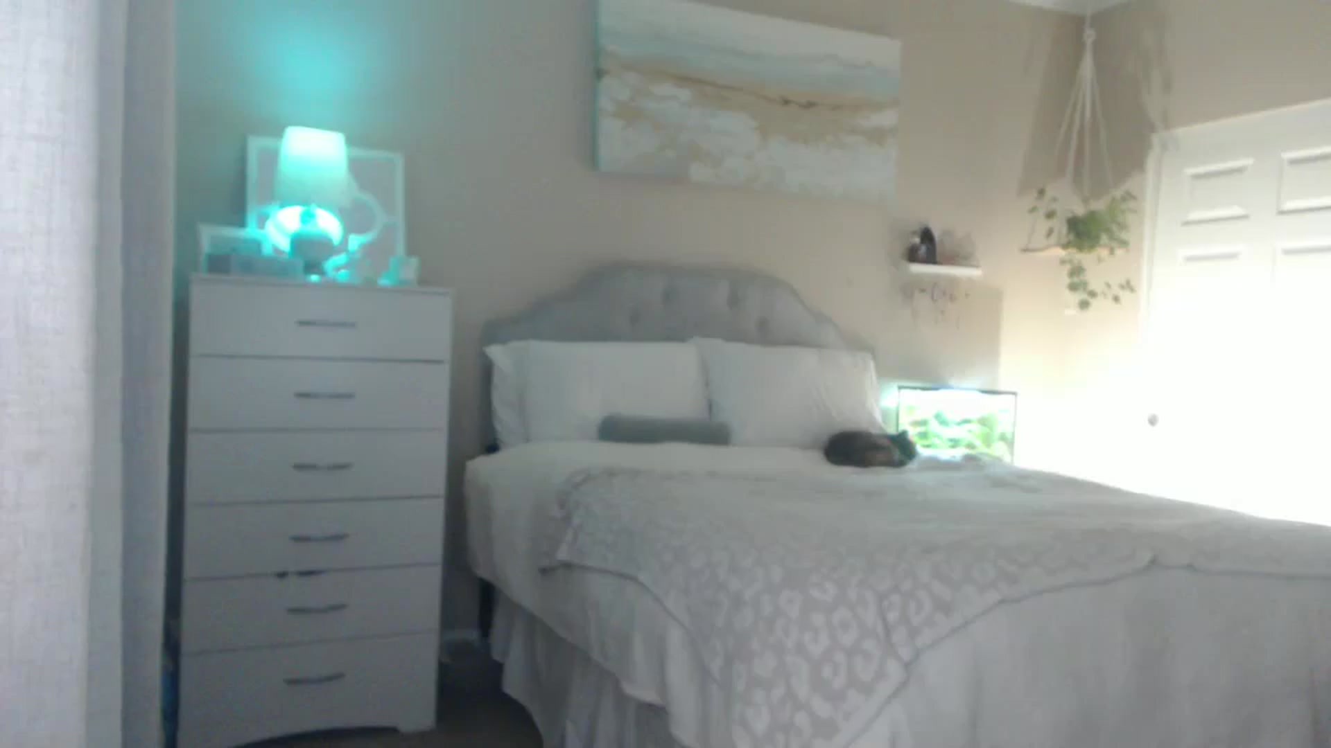 Gallery image thumbnail from Queen_bambii's myfreecams stream on, 08/20/2025, 07:13 image 3 of 20