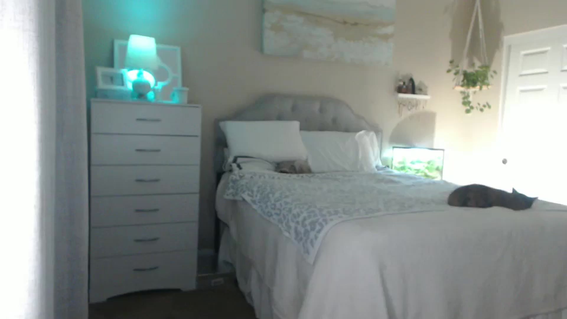 Gallery image thumbnail from Queen_bambii's myfreecams stream on, 09/09/2025, 06:49 image 9 of 20