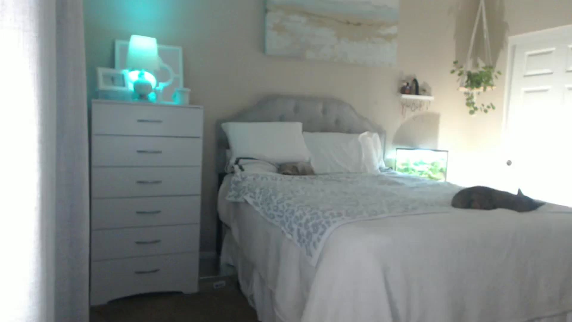 Gallery image thumbnail from Queen_bambii's myfreecams stream on, 09/09/2025, 06:49 image 8 of 20