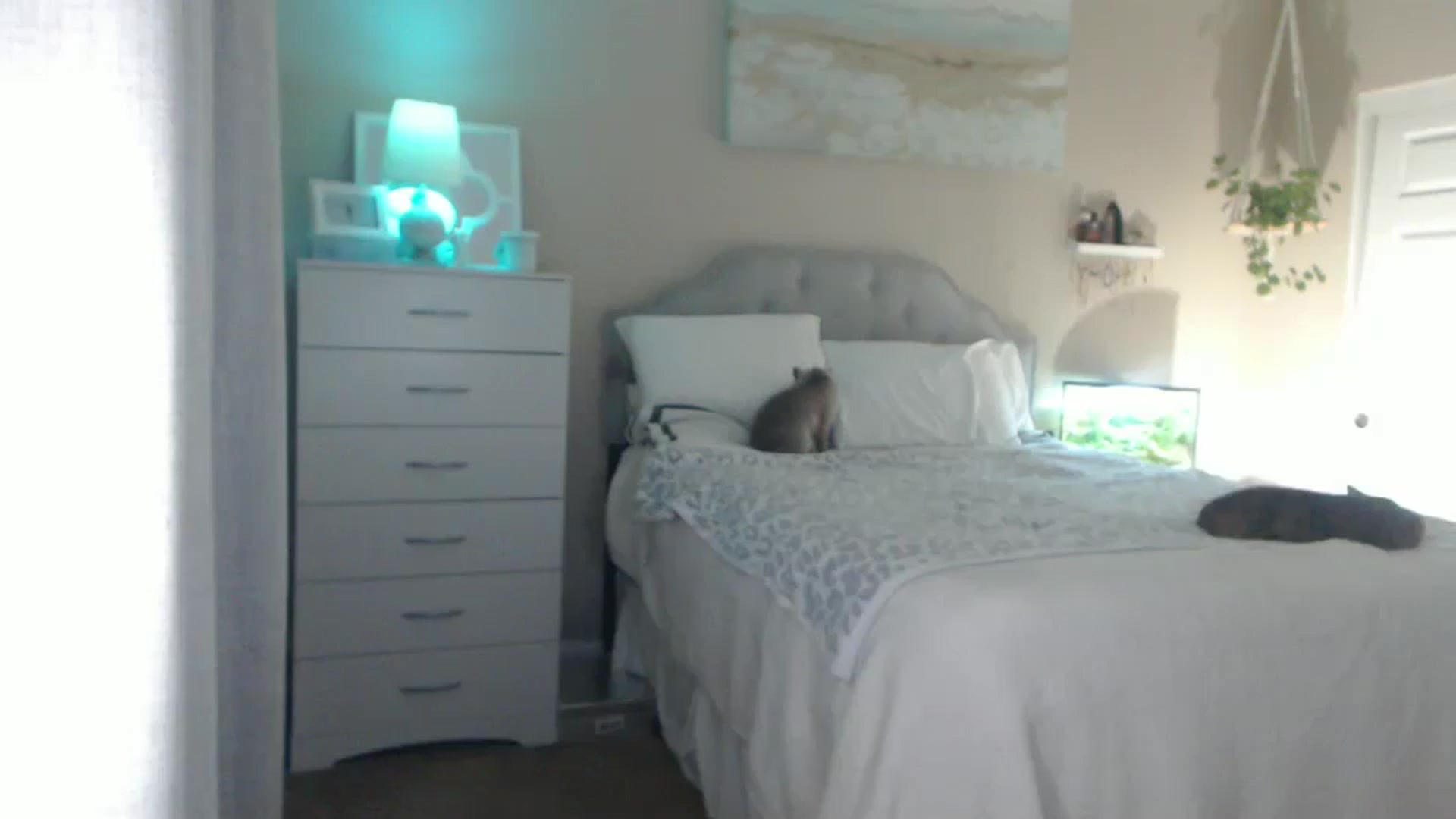 Gallery image thumbnail from Queen_bambii's myfreecams stream on, 09/09/2025, 06:49 image 17 of 20