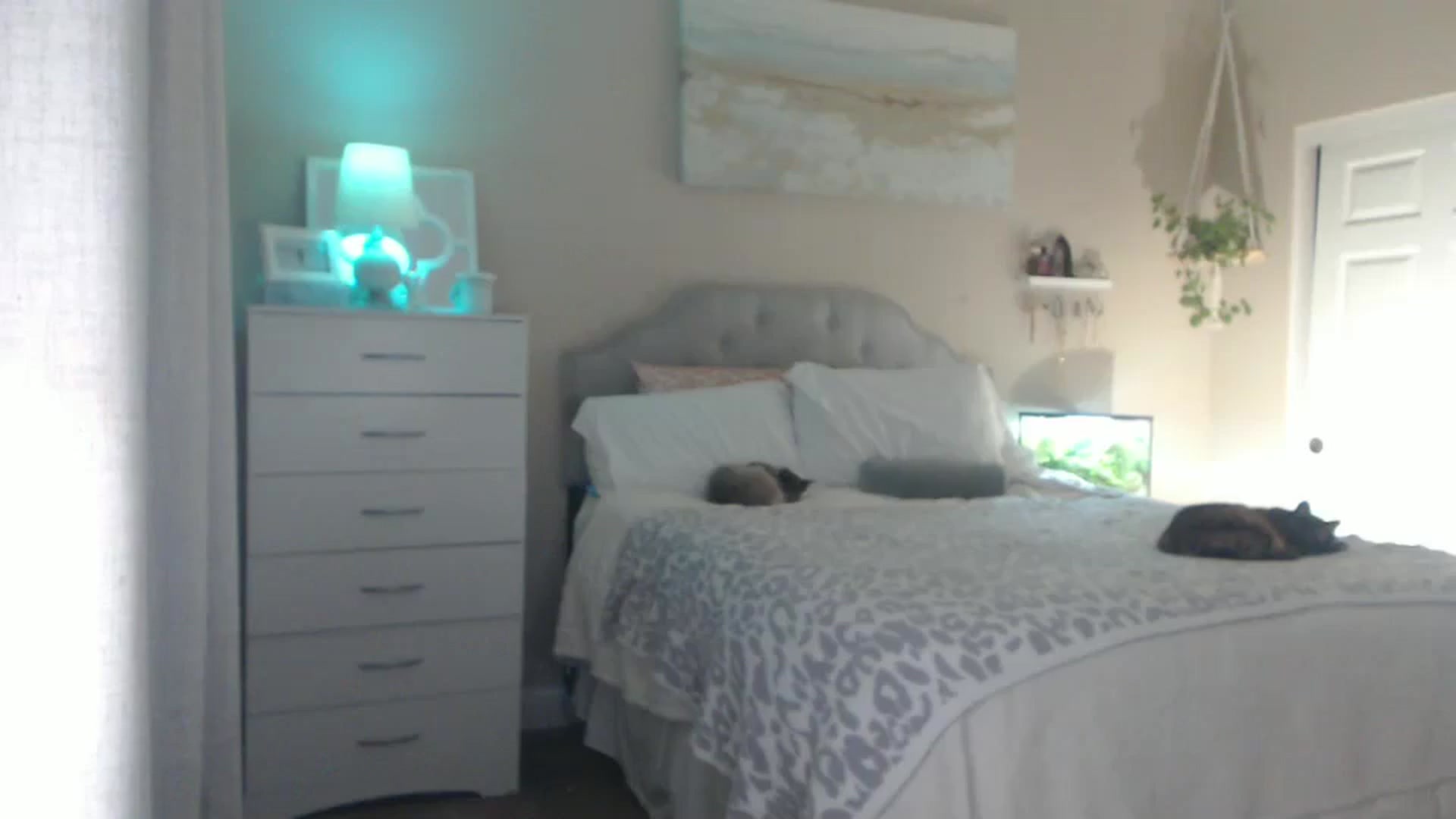 Gallery image thumbnail from Queen_bambii's myfreecams stream on, 09/20/2025, 05:54 image 6 of 20