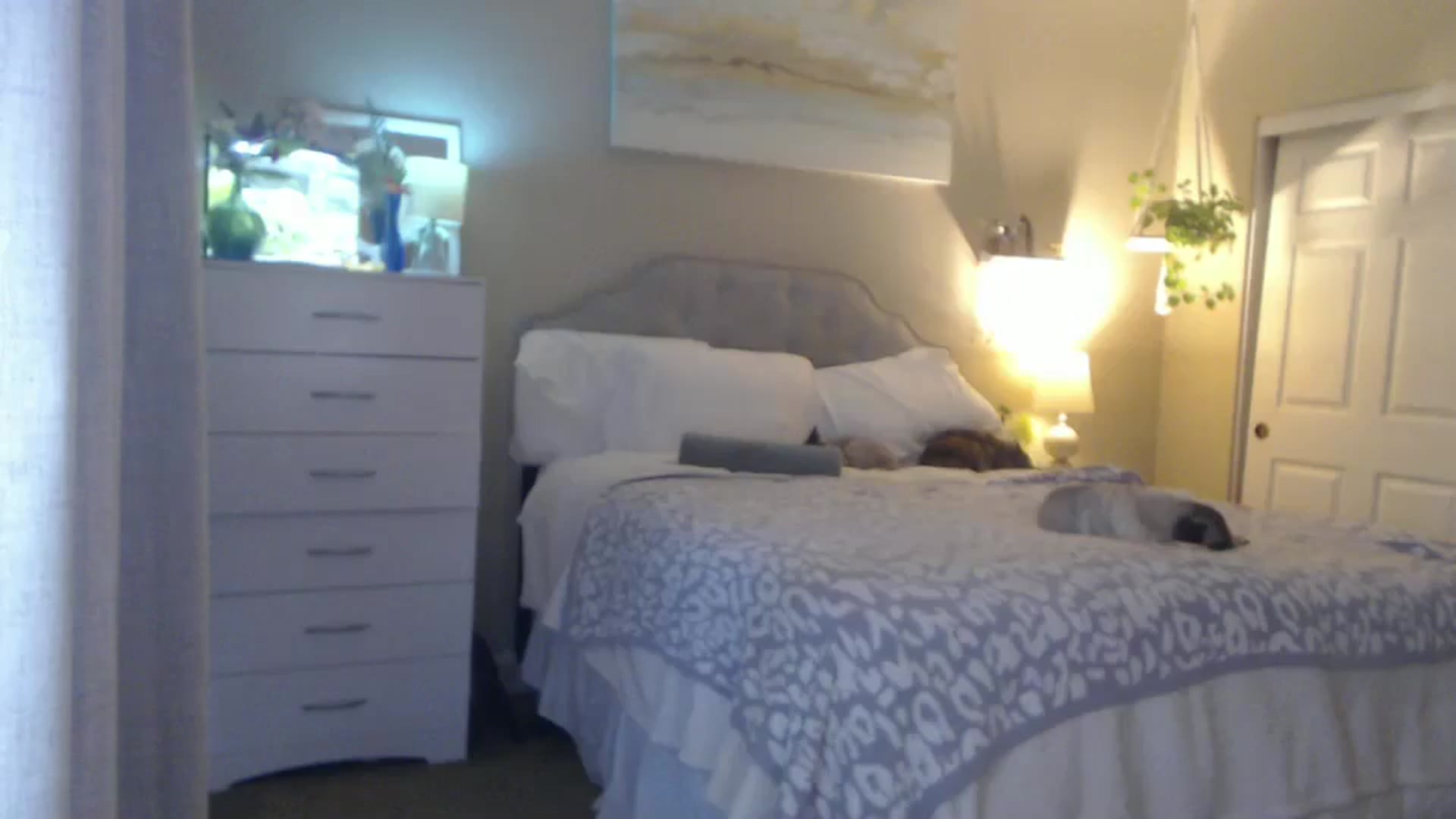 Gallery image thumbnail from Queen_bambii's myfreecams stream on, 10/11/2025, 01:51 image 2 of 20