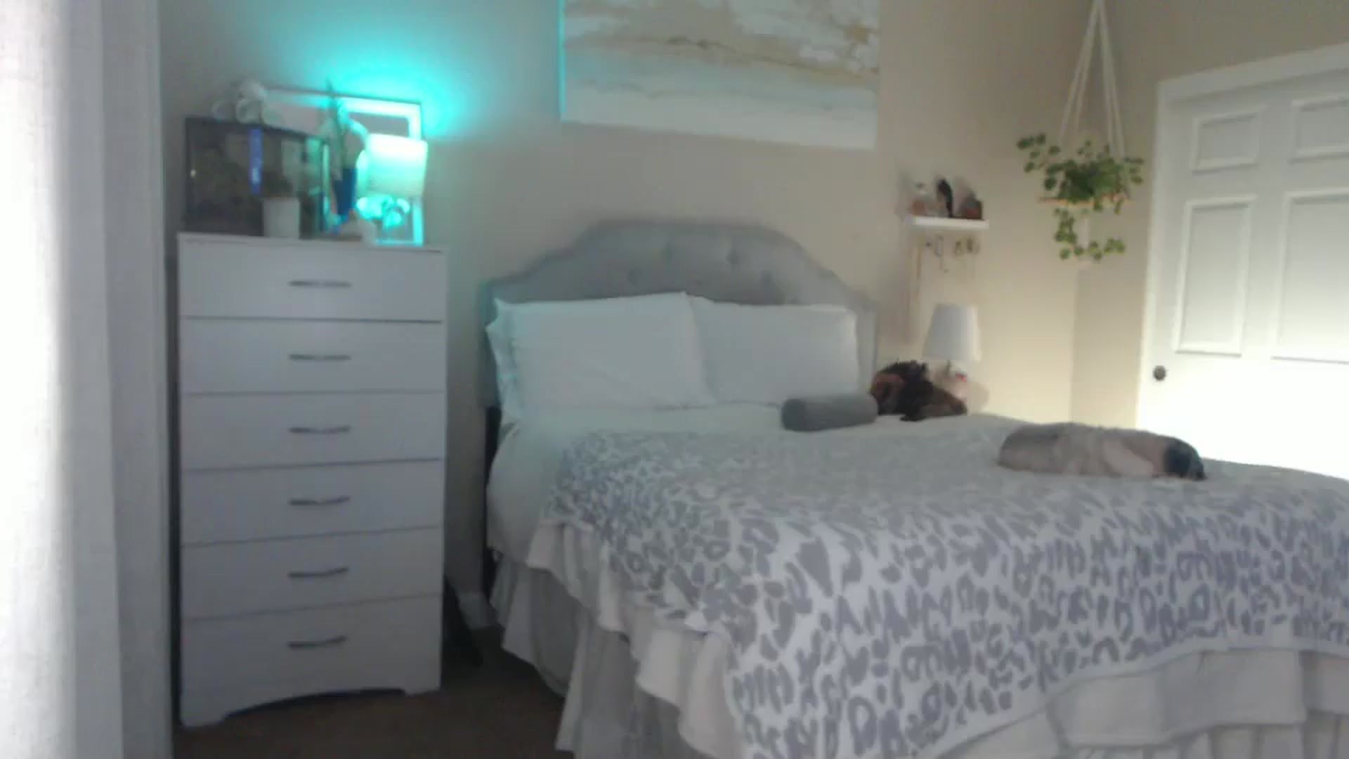Gallery image thumbnail from Queen_bambii's myfreecams stream on, 10/28/2025, 08:17 image 2 of 20