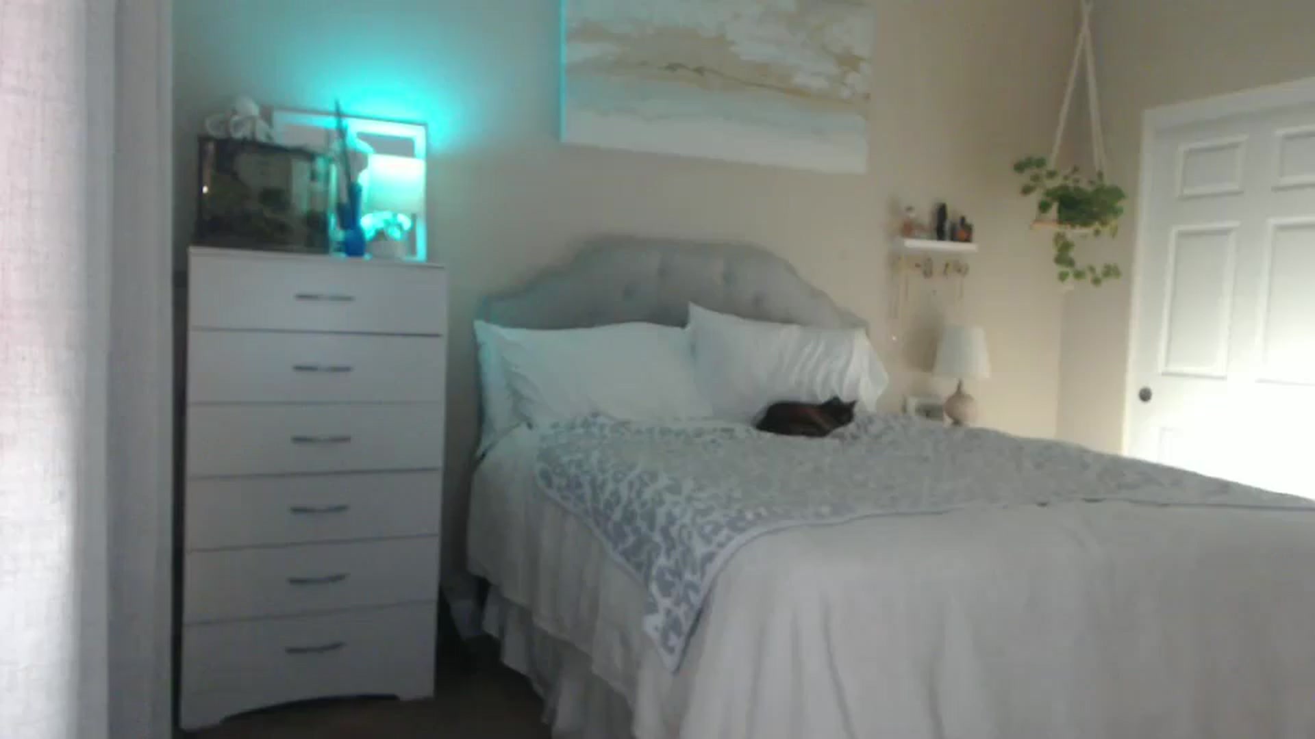 Gallery image thumbnail from Queen_bambii's myfreecams stream on, 11/05/2025, 05:50 image 16 of 20