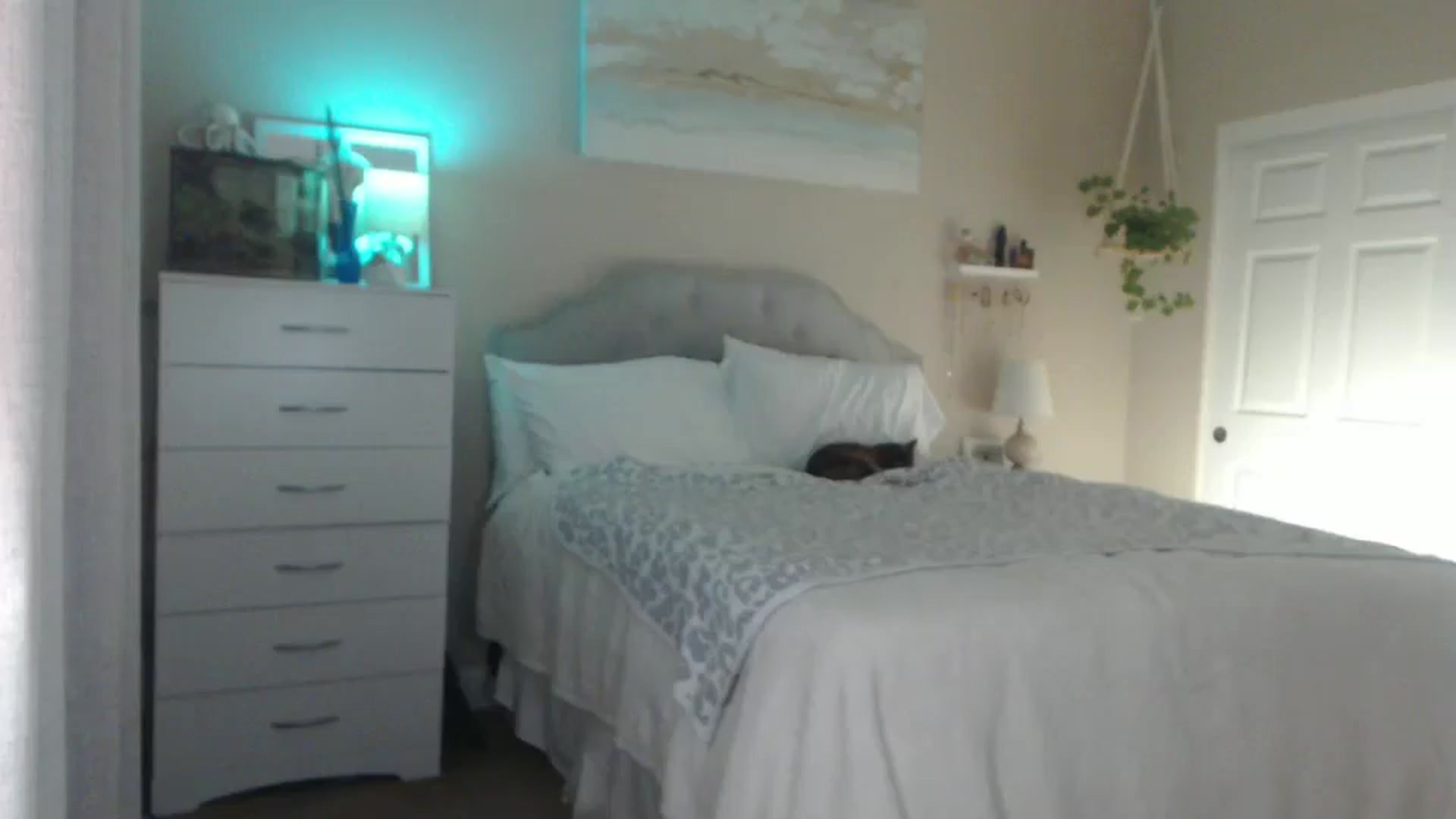 Gallery image thumbnail from Queen_bambii's myfreecams stream on, 11/05/2025, 07:10 image 8 of 20