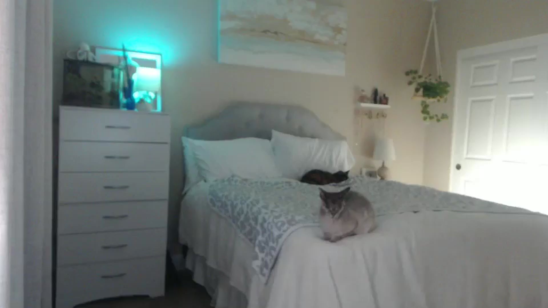 Gallery image thumbnail from Queen_bambii's myfreecams stream on, 11/05/2025, 08:47 image 3 of 20