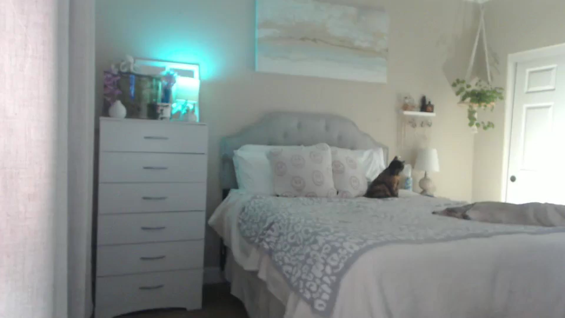 Gallery image thumbnail from Queen_bambii's myfreecams stream on, 11/22/2025, 05:19 image 14 of 20