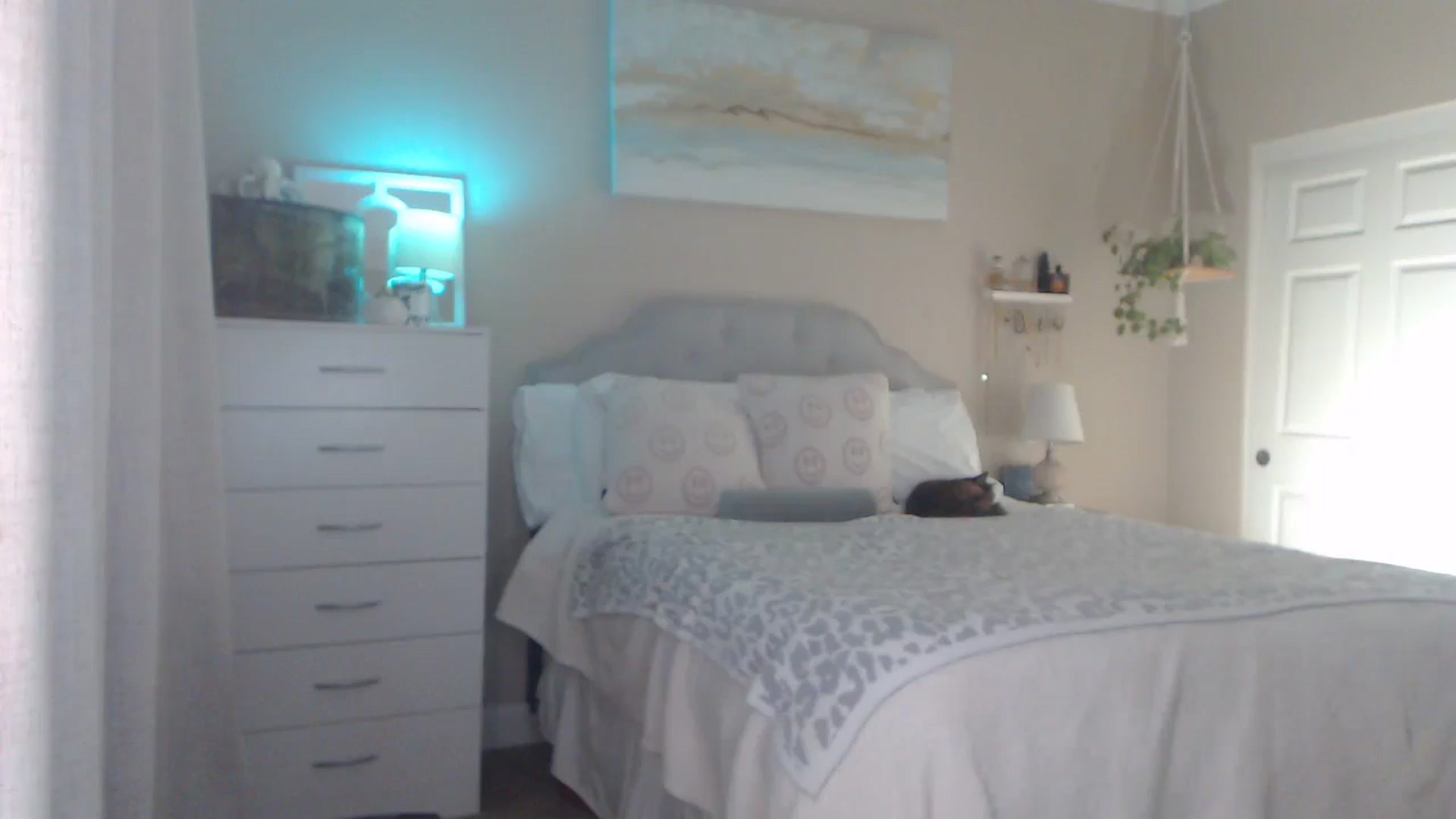 Gallery image thumbnail from Queen_bambii's myfreecams stream on, 12/10/2025, 08:02 image 13 of 20