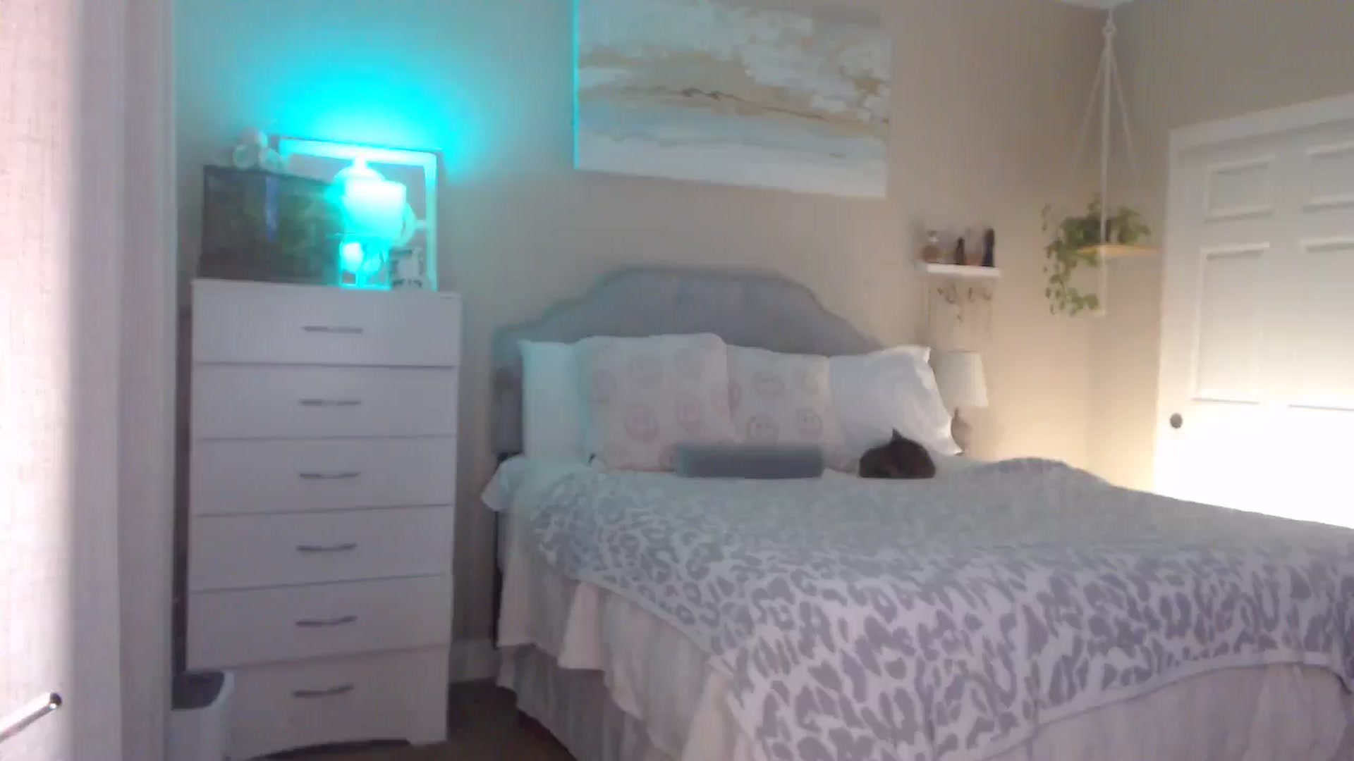 Gallery image thumbnail from Queen_bambii's myfreecams stream on, 12/24/2025, 07:41 image 18 of 20