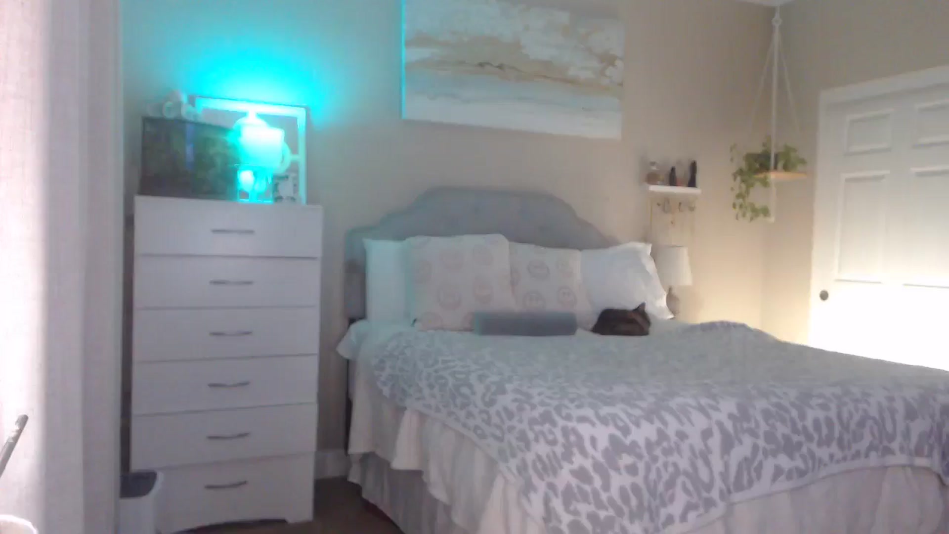 Gallery image thumbnail from Queen_bambii's myfreecams stream on, 12/24/2025, 07:41 image 10 of 20
