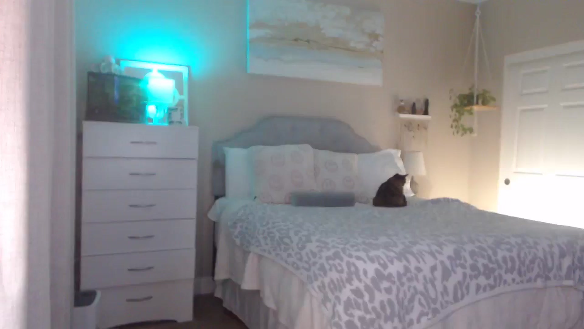 Gallery image thumbnail from Queen_bambii's myfreecams stream on, 12/24/2025, 07:41 image 2 of 20